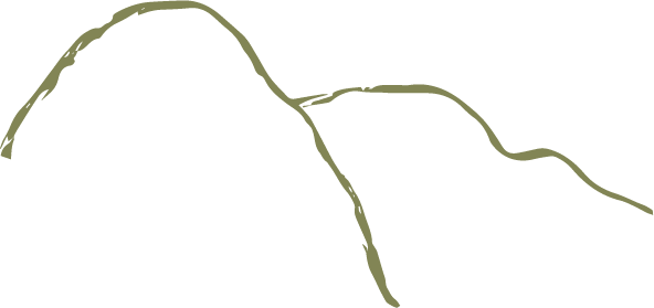 Silhouette of a mountain with a winding trail or river running through it, against a translucent background.