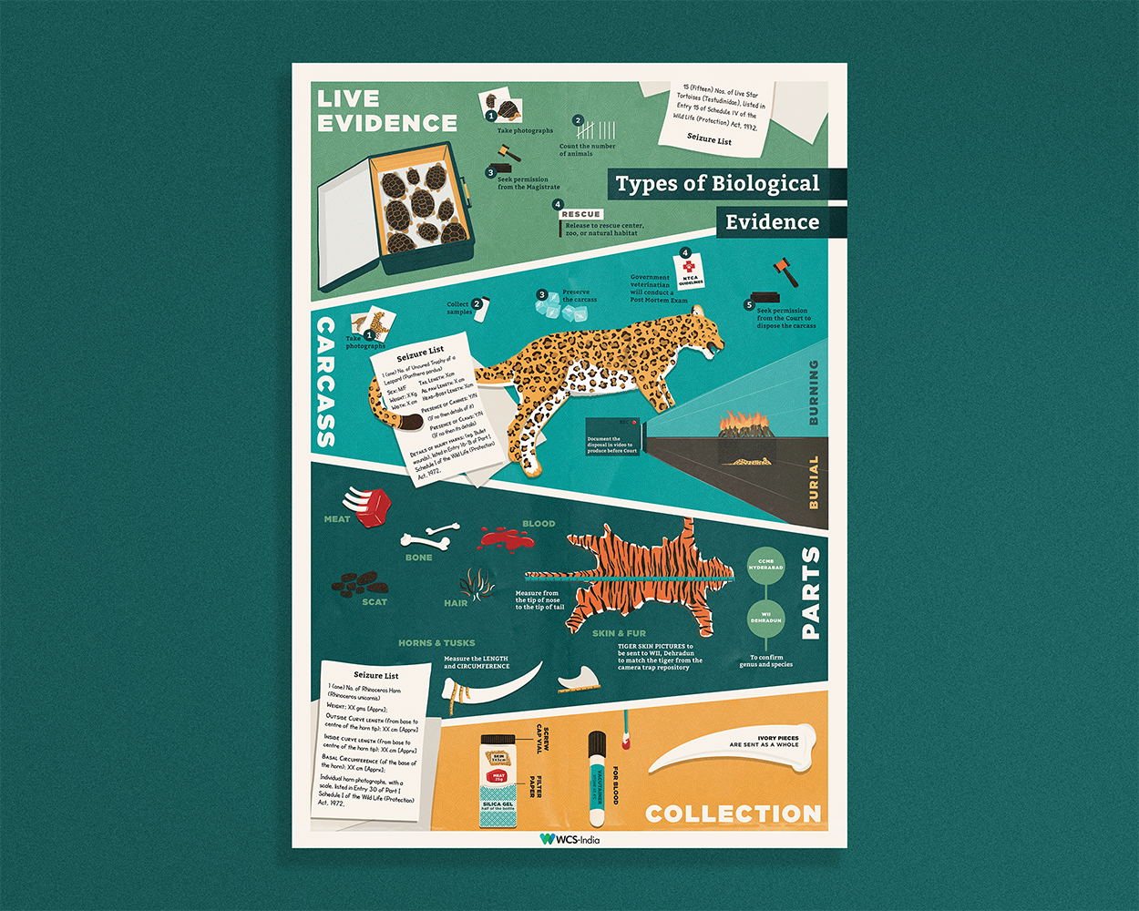 Select Infographics | Graphic Design, Illustration | WCS-India