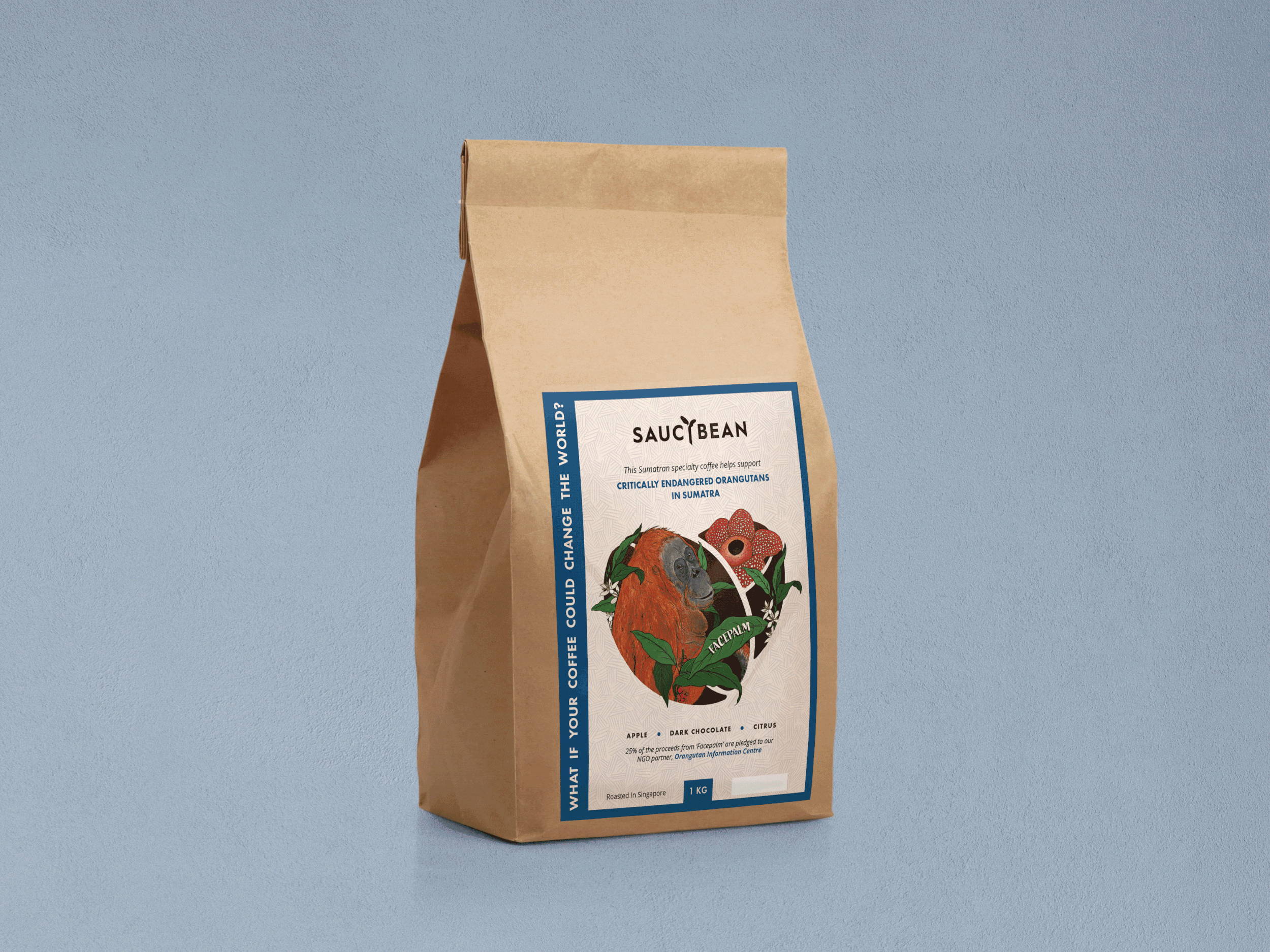 Saucybean Coffee | Packaging Design