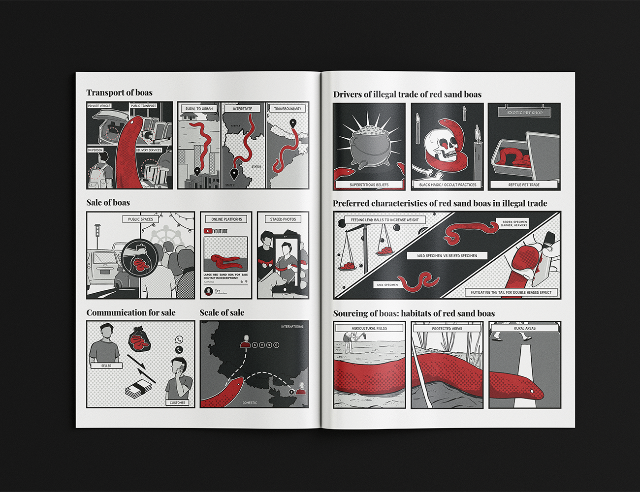 Crime Script | Comic Illustration | WCS-India