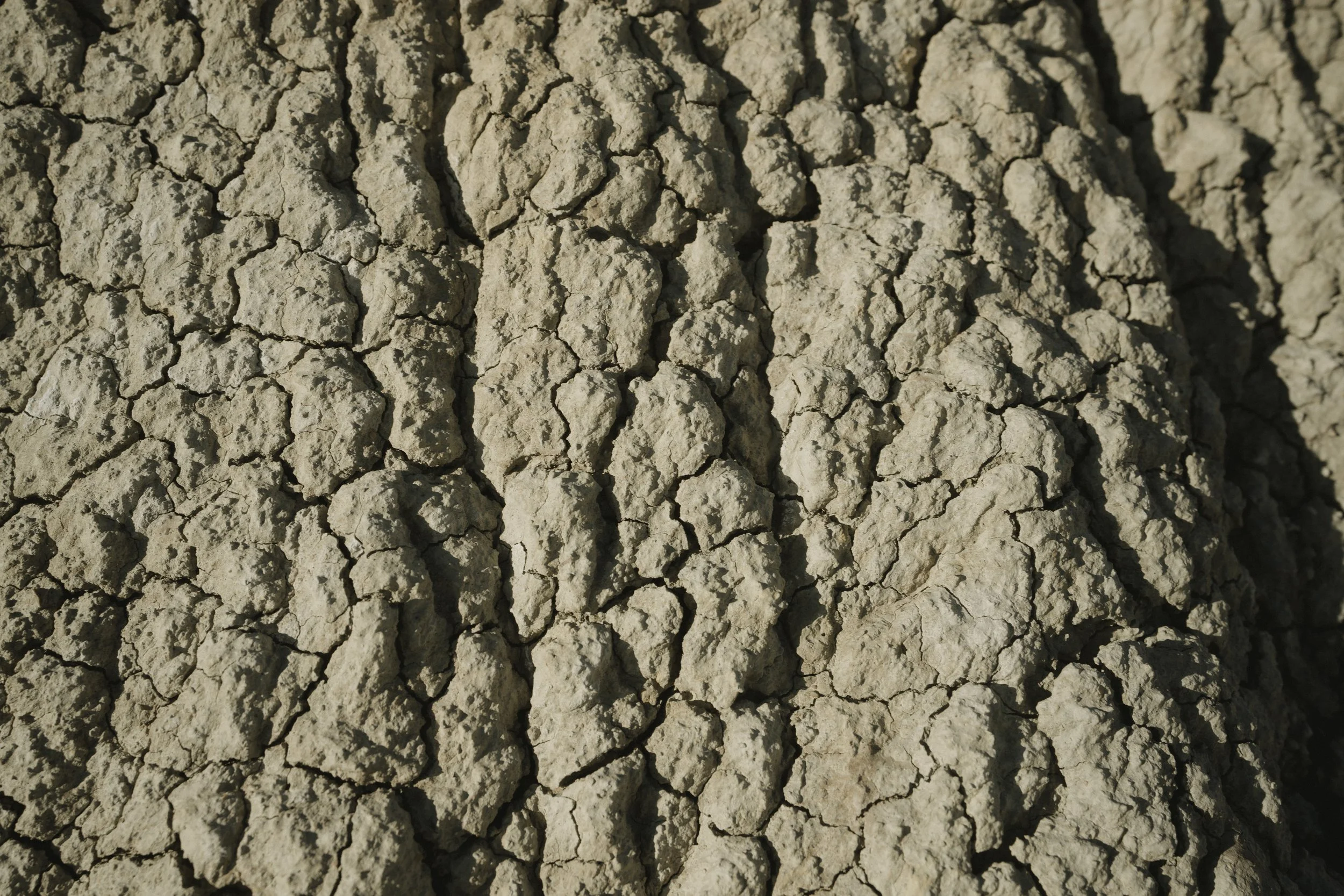 LIFEPRO DUNE @edubastus5_97.jpg