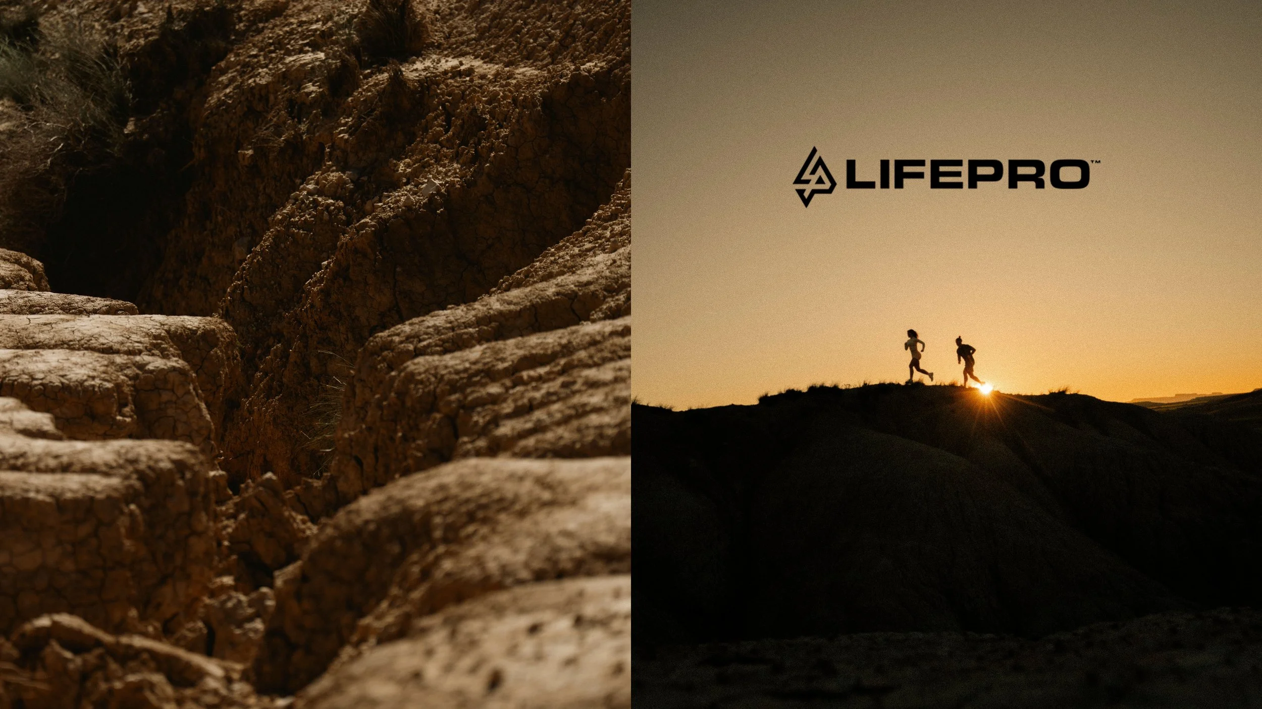LIFEPRO - Dune