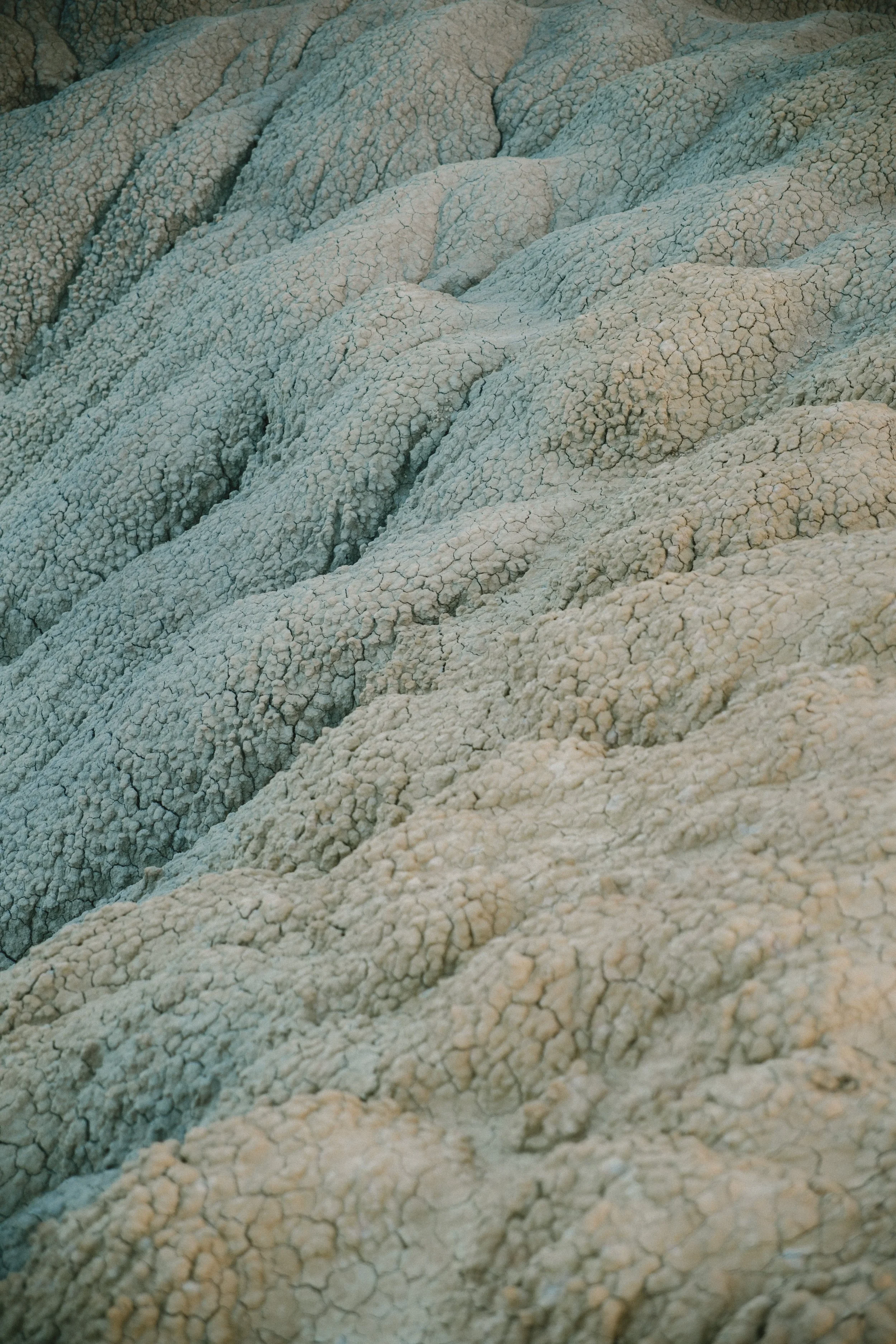 LIFEPRO DUNE @edubastus5_3.jpg