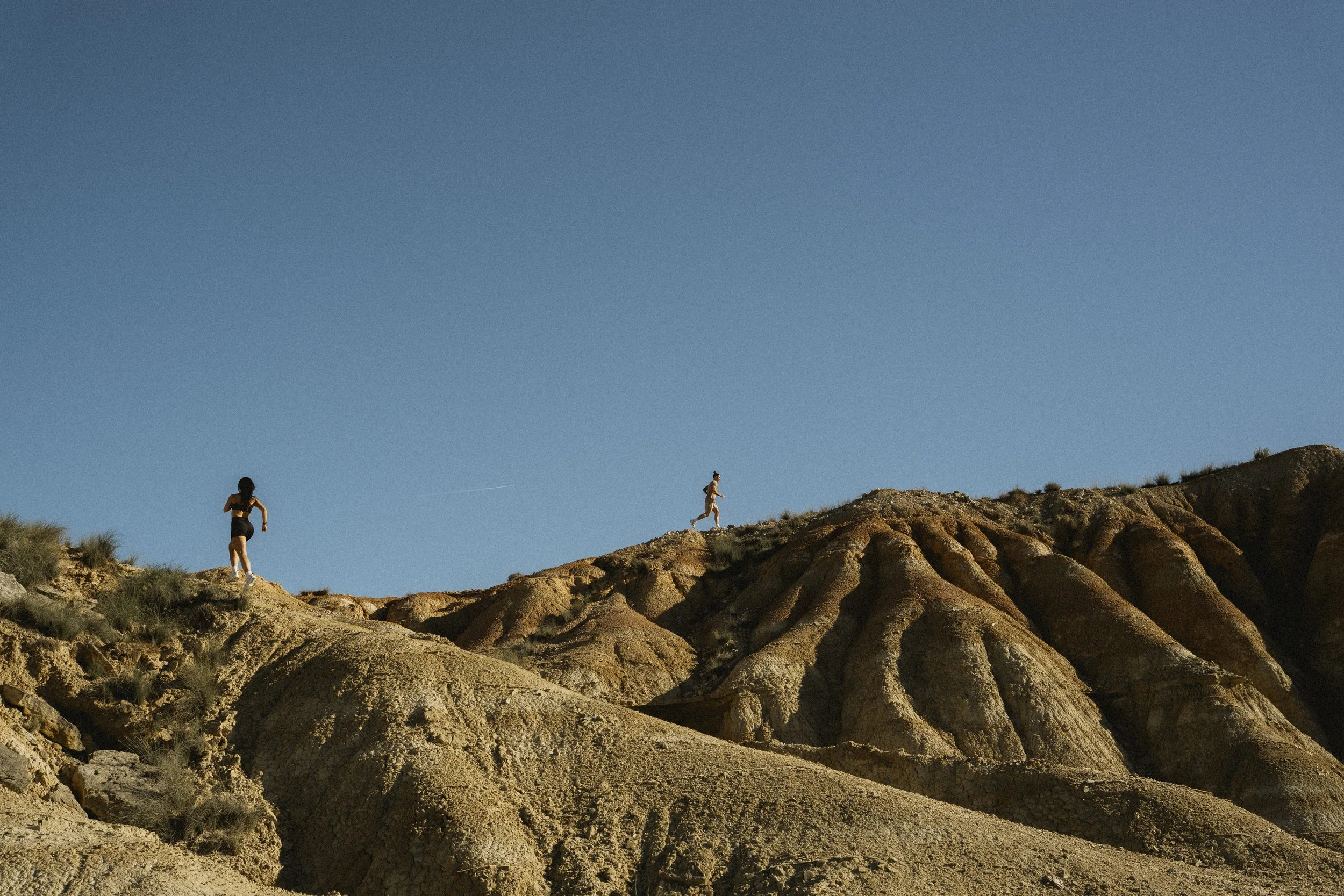 LIFEPRO DUNE @edubastus5_103.jpg