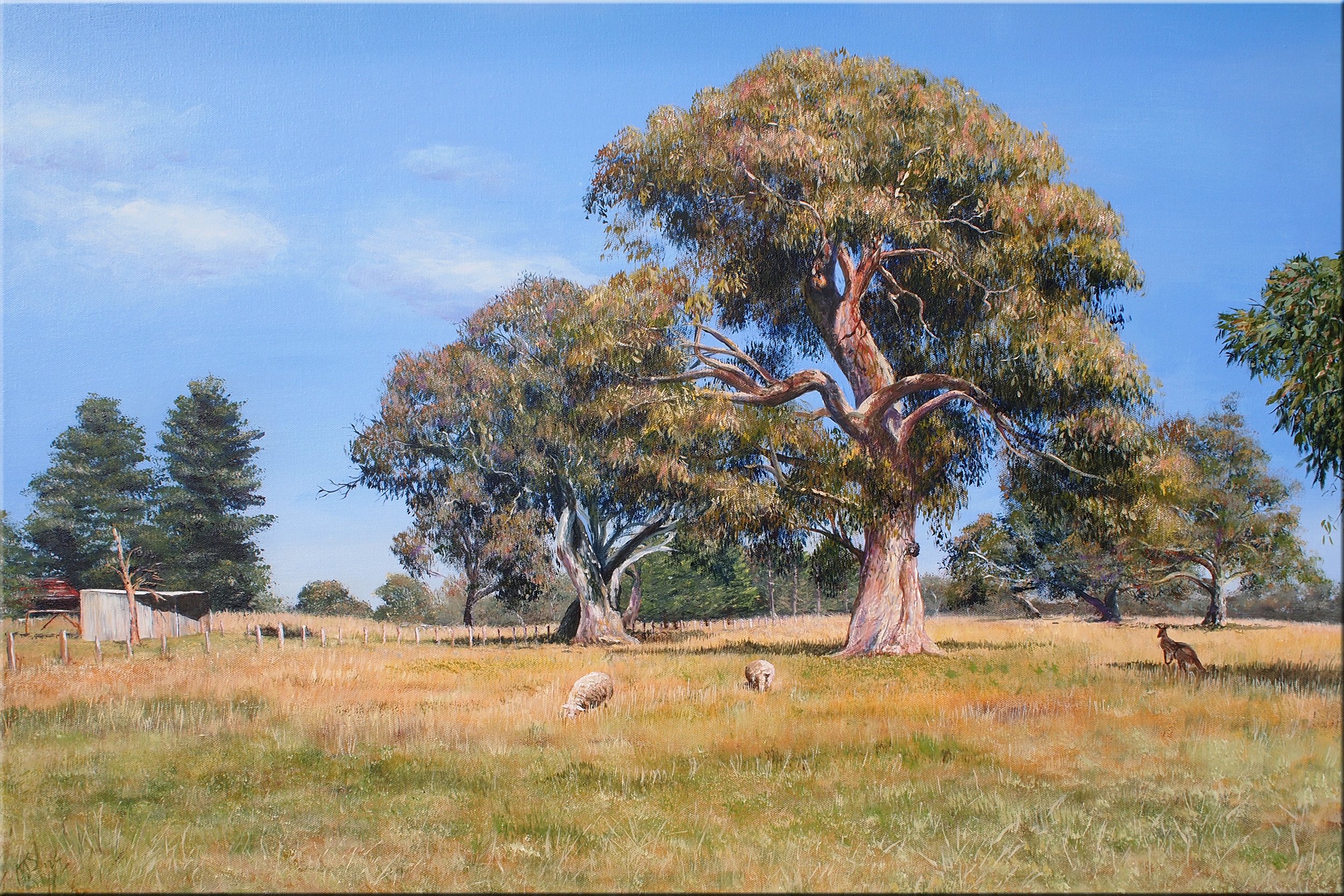 A Sheep or Two and a Kangaroo,
Amaria Stark.
Acrylic on canvas, 2024.
91cm x 61cm