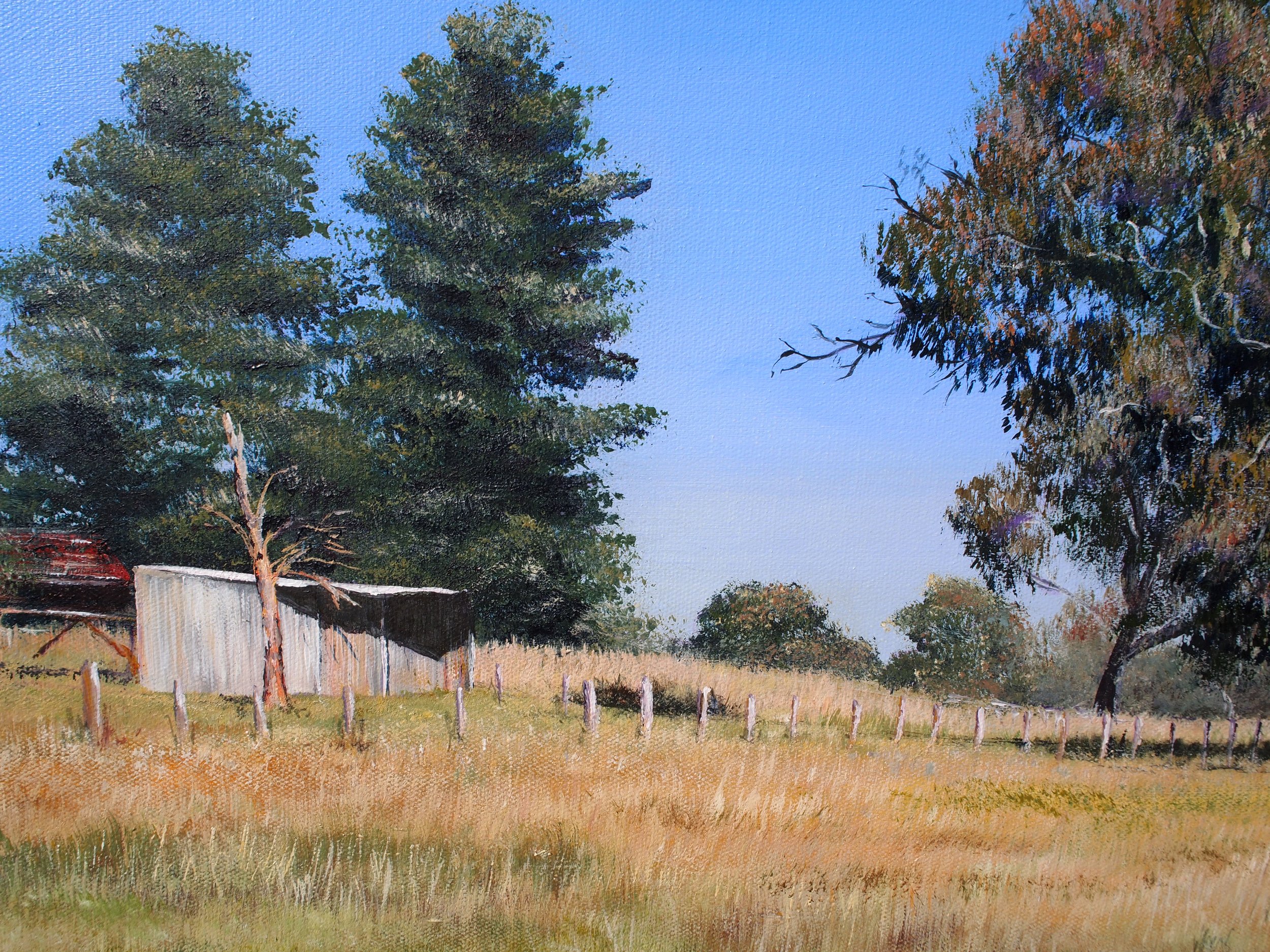 A Sheep or Two and a Kangaroo detail 4 - Copy.jpg