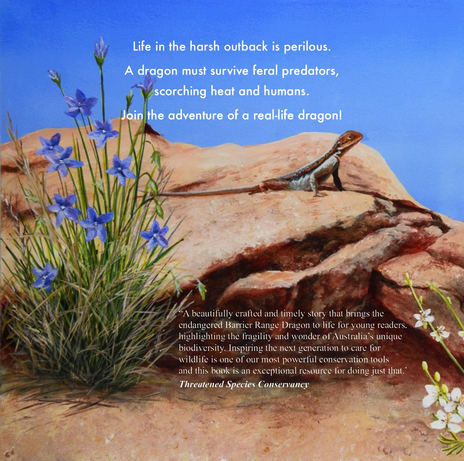 Sunlight Dragon back Cover 2.JPG