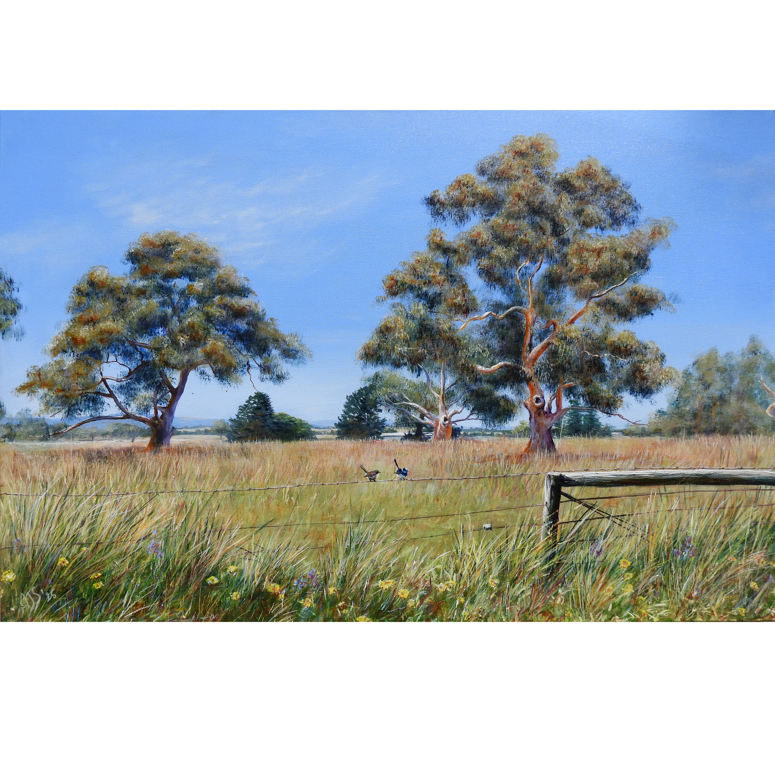 Original painting: "Remnant Red Gums"
