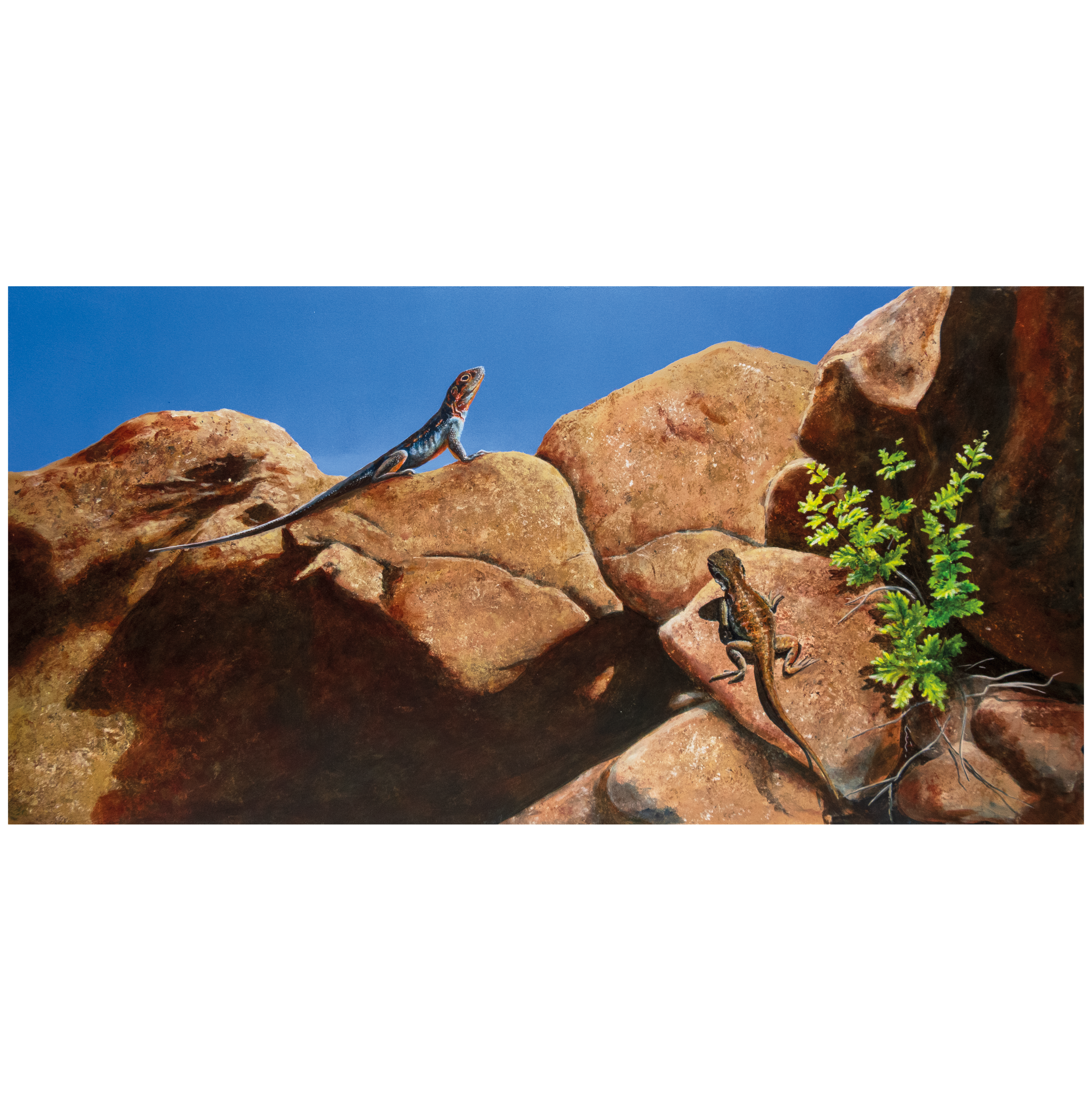 Art Print: "Courtship"