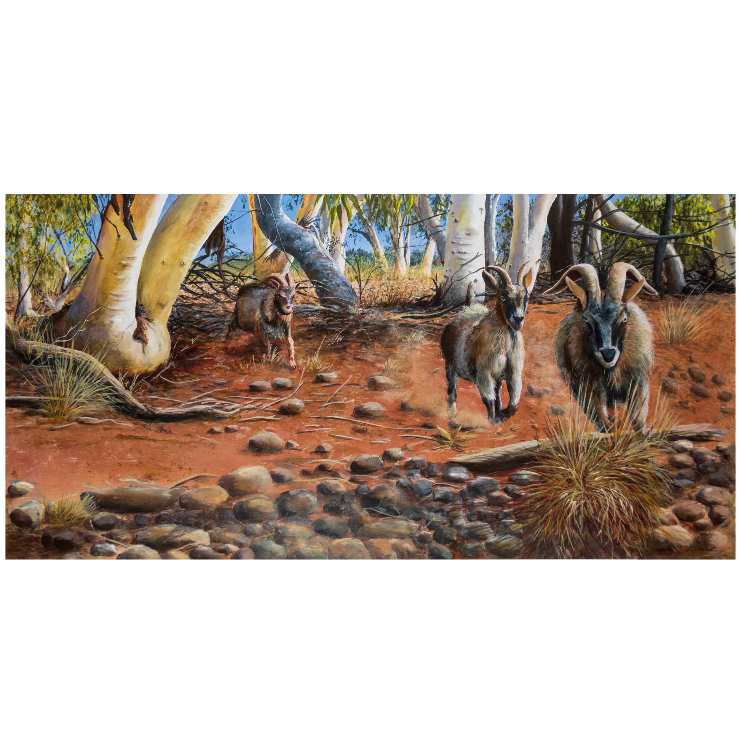 Art Print: "Marauders"