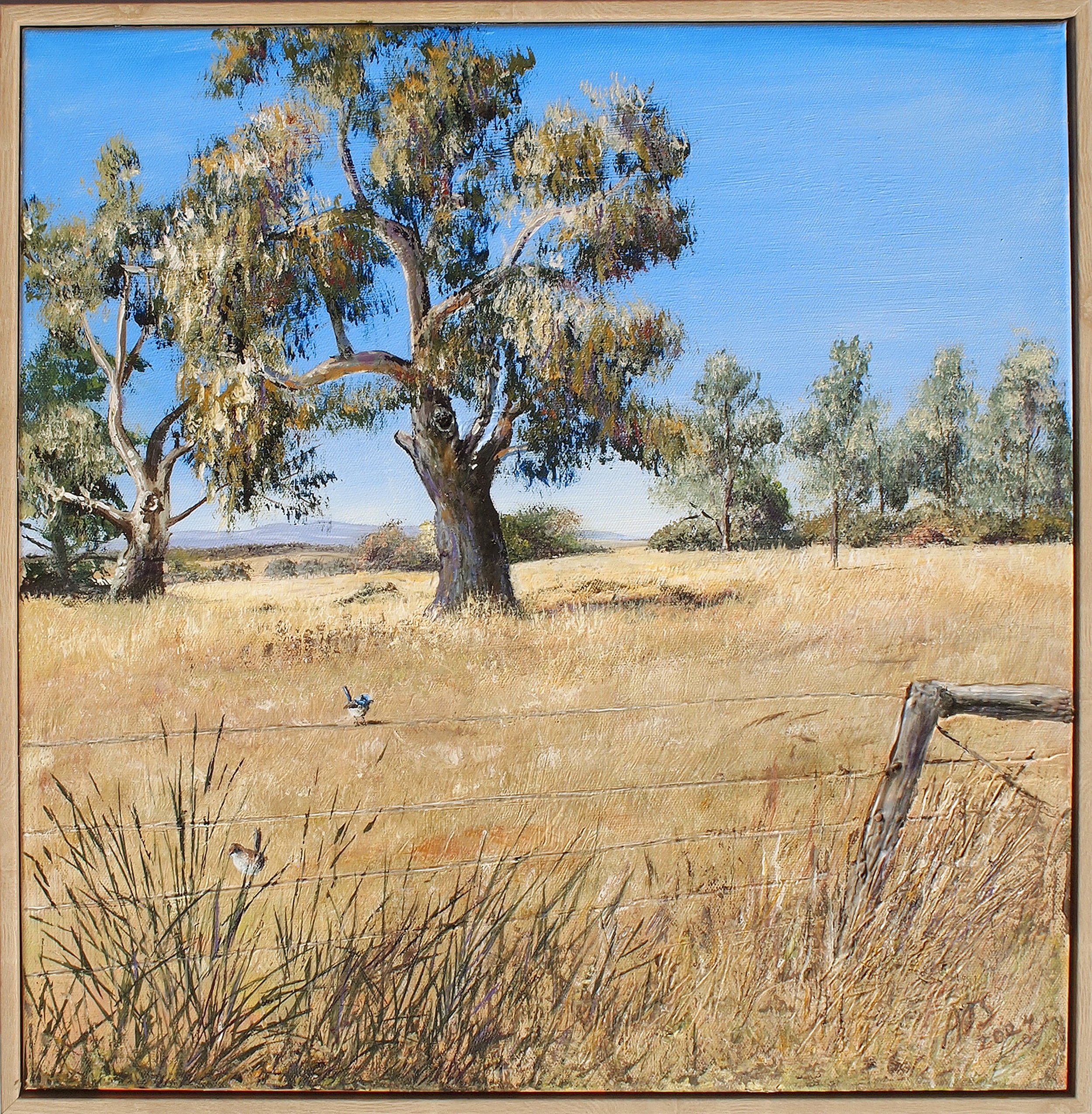 Rural Whittlesea,
Amaria Stark.
Acrylic on canvas, 2024.
40.5cm x 40.5cm