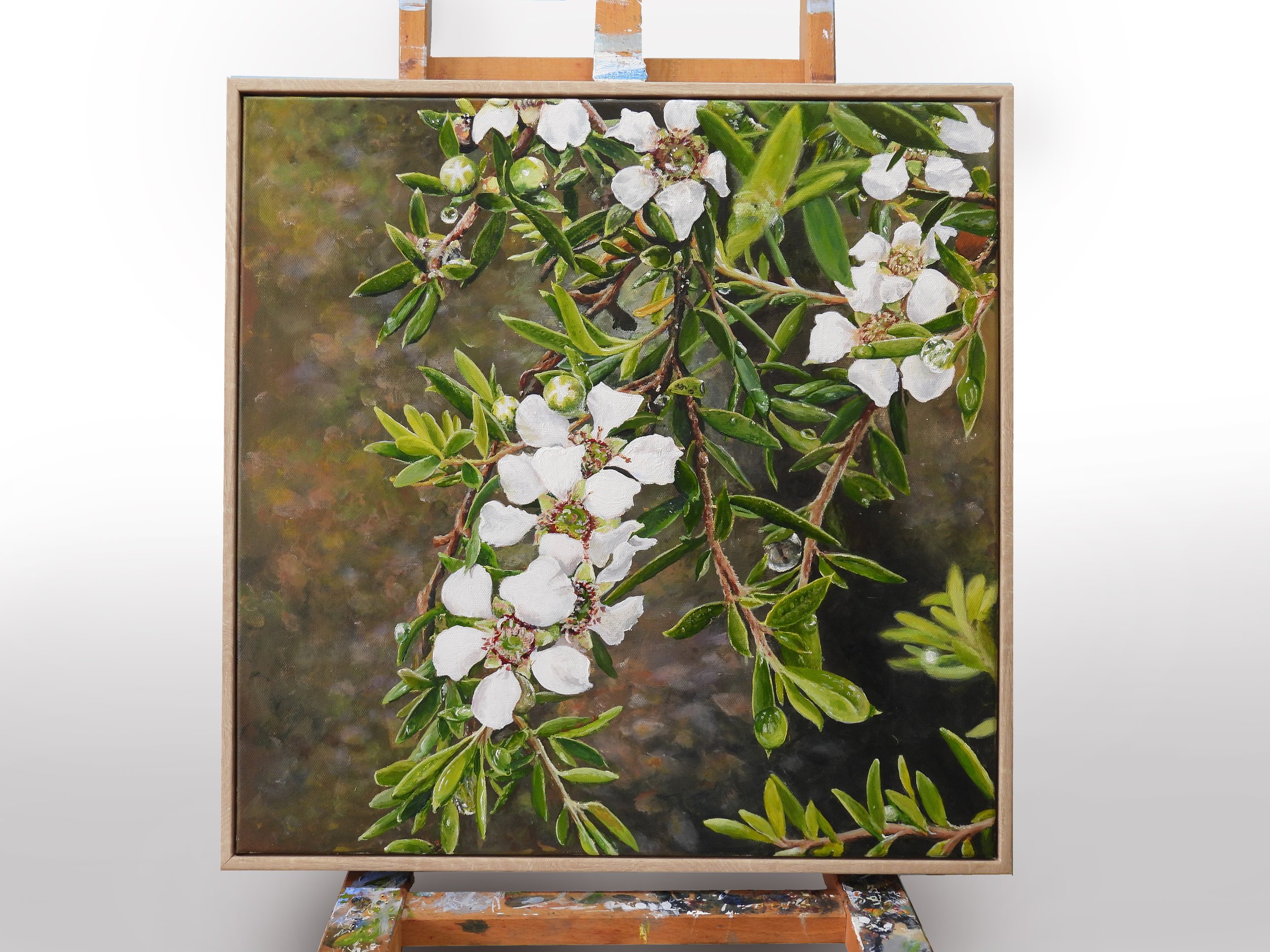 Tea Tree and Raindrops styled - Copy.jpg