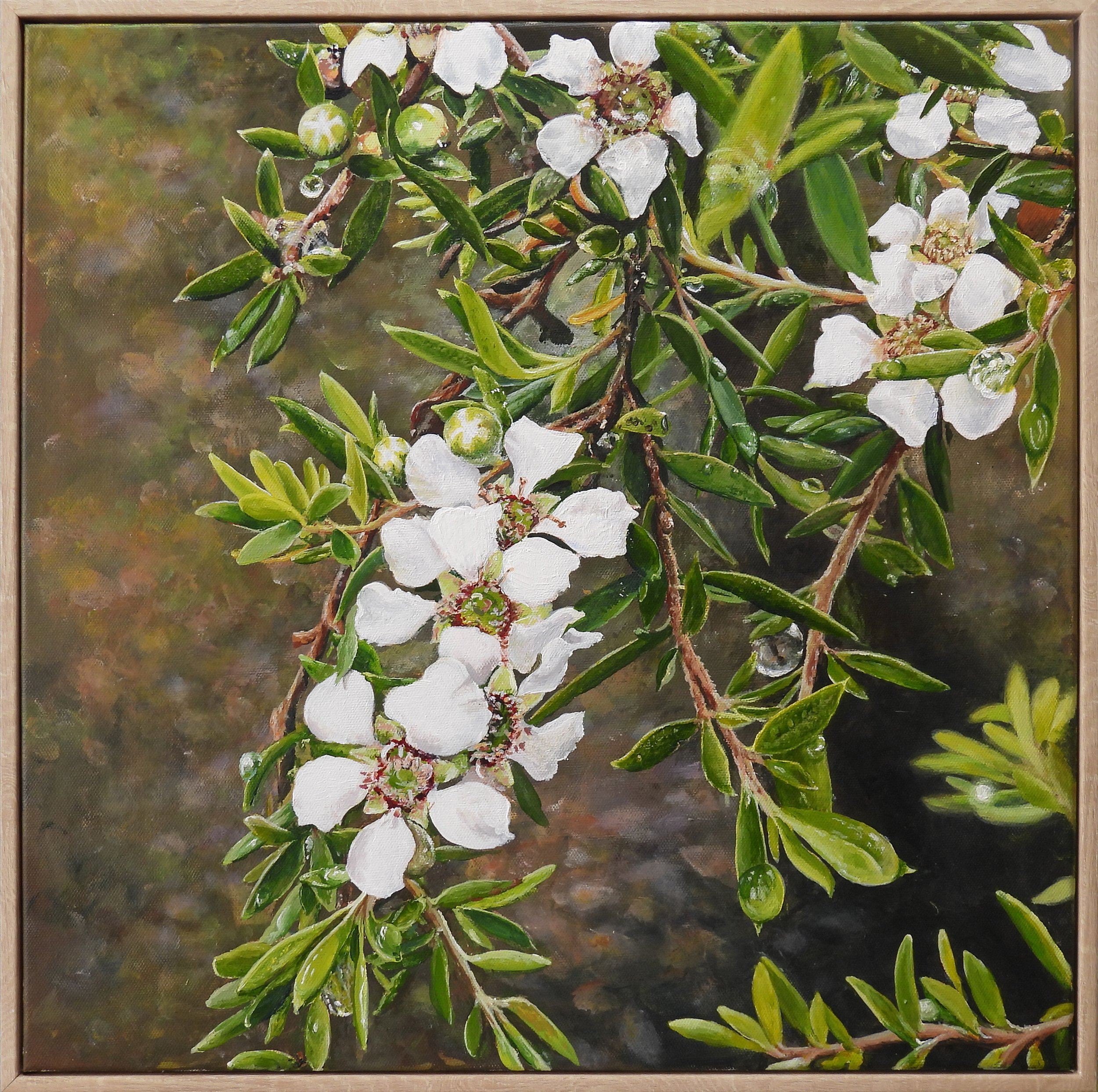 Tea Tree and Raindrops,
Amaria Stark.
Acrylic on canvas, 2024.
40.5cm x 40.5cm