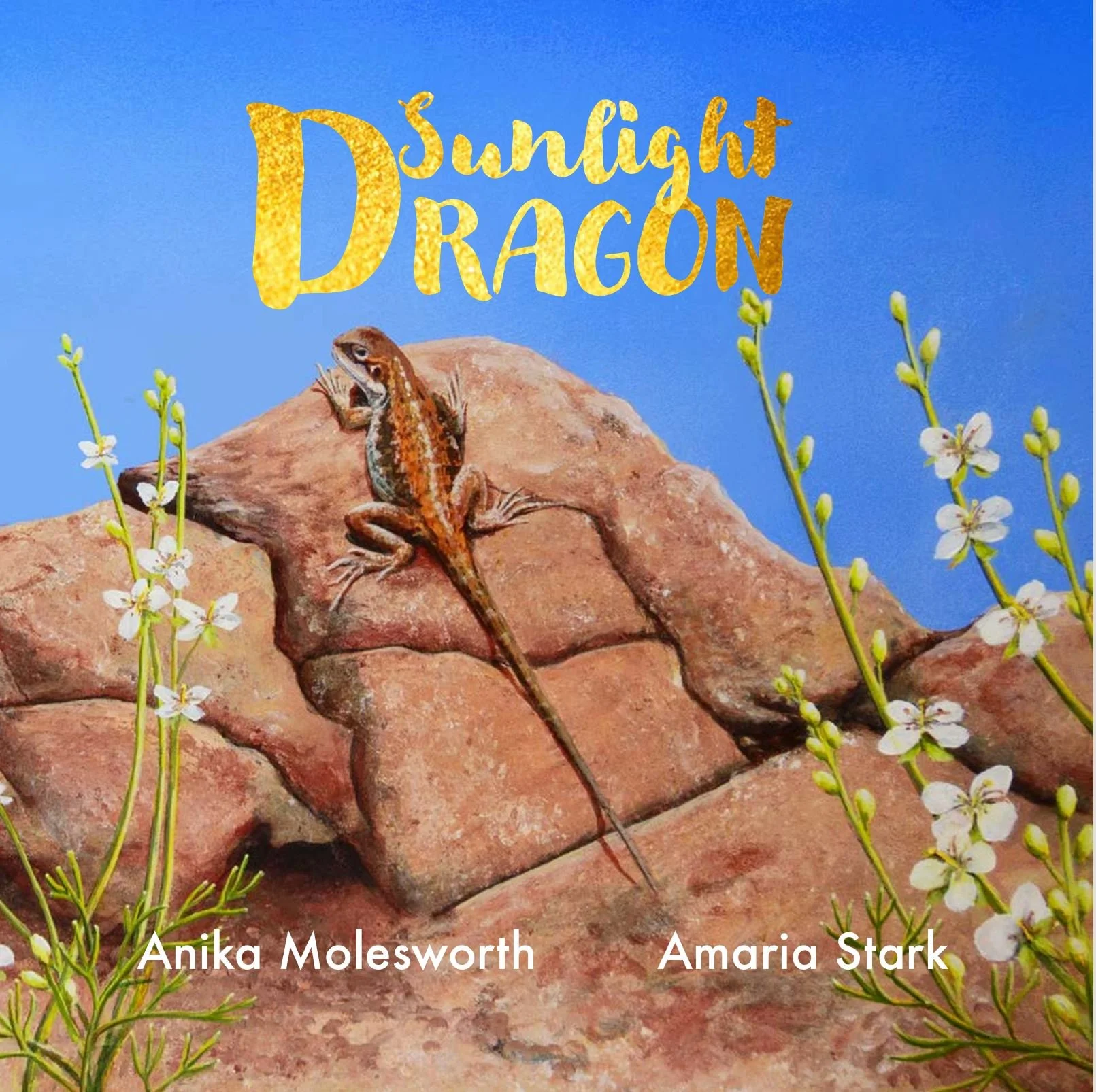 Sunlight Dragon Cover.JPG