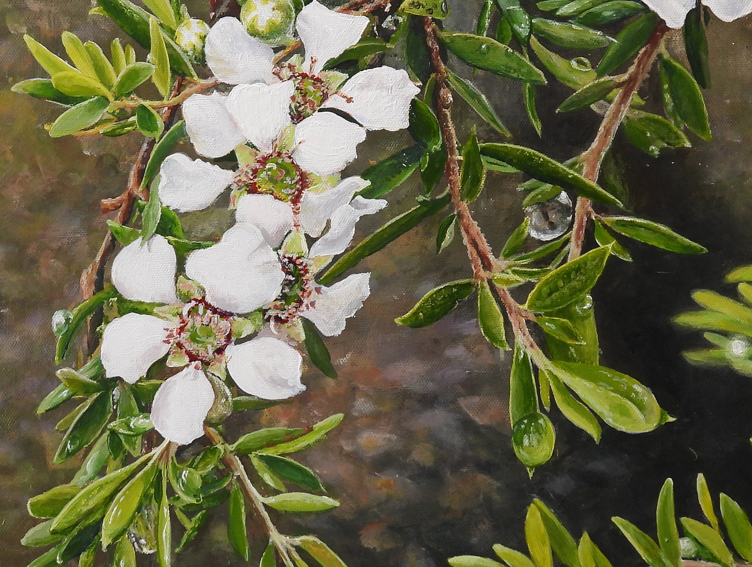 Tea Tree and Raindrops detail.jpg
