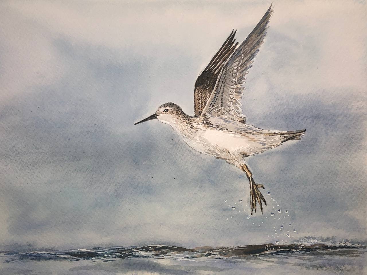 Great Knot
Amaria Stark.
Acrylic ink and pen on A4 paper, 2023