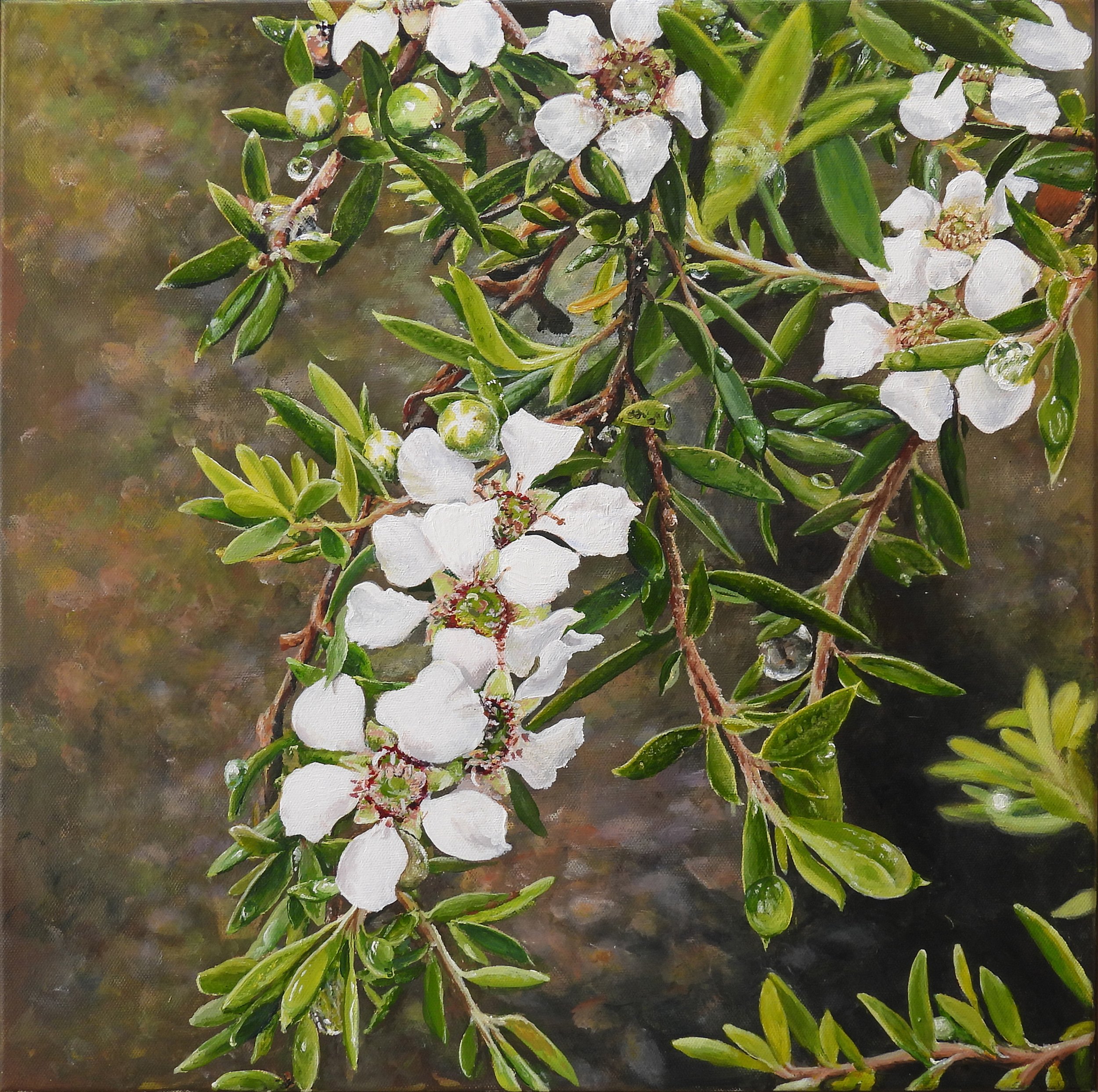 Tea Tree and Raindrops no frame.jpg