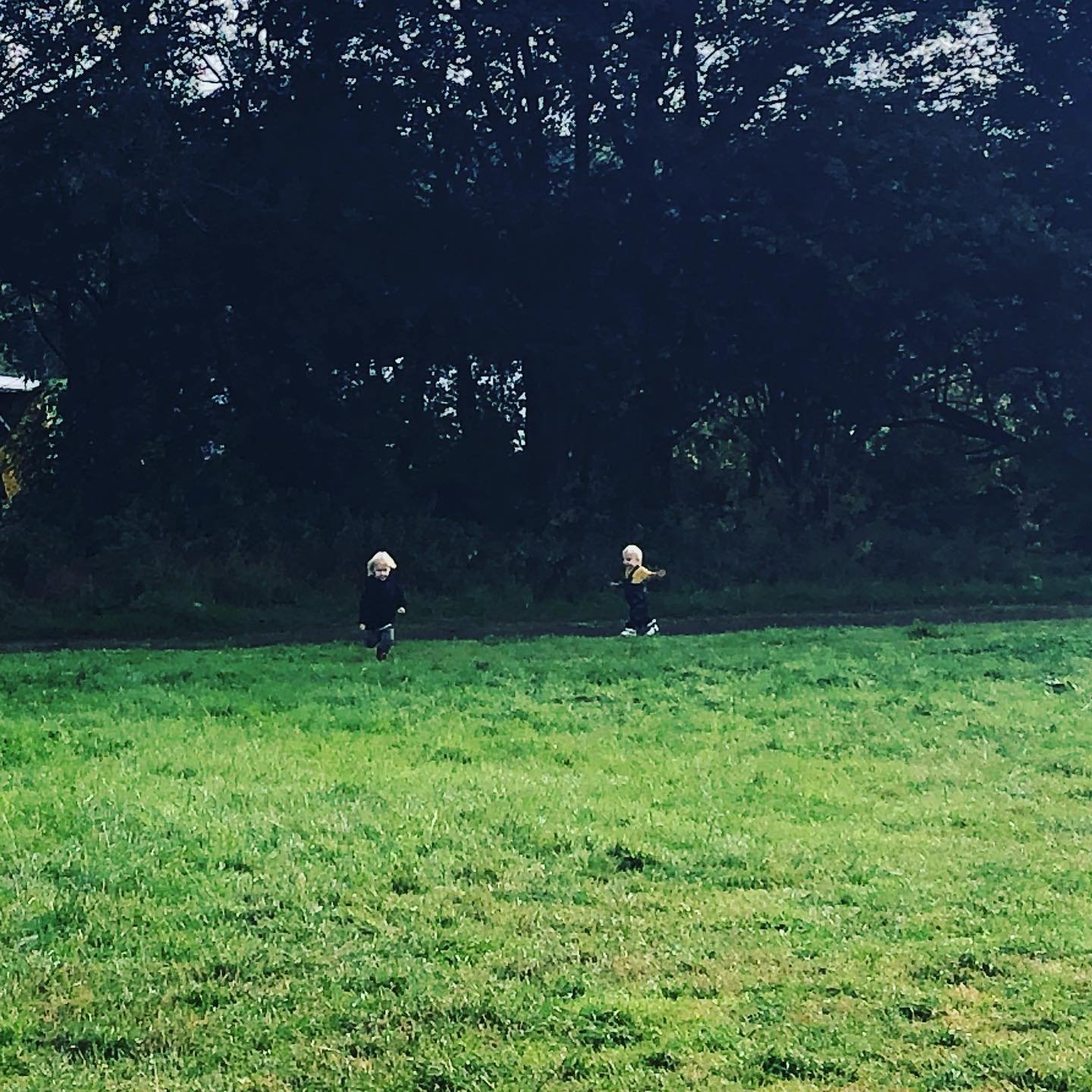 NATURE 🌱 
One of the best parts of our UK holiday was being in the countryside, playing outside and breathing fresh air.
We love our London life but 98% of schools in London are suffering toxic air pollution. 
I always try to take my boys the back s