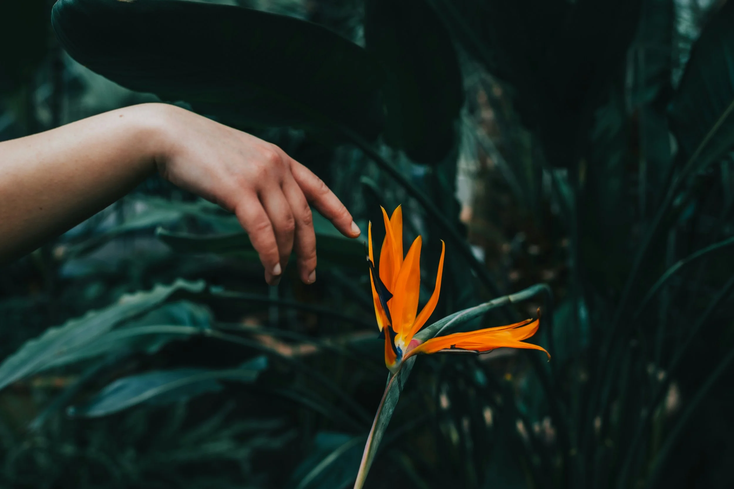 You don’t need more to-dos. You need a Compost Day.
