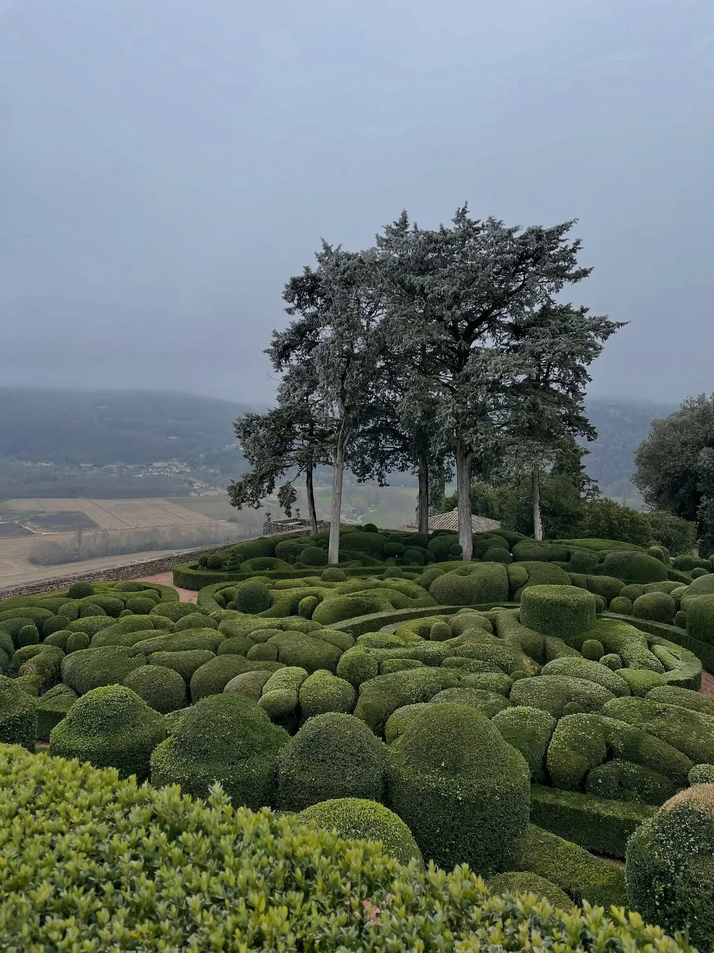 I was going to post a &ldquo;Happy New Year&rdquo; message, the usual wishes for what&rsquo;s to come. But honestly, all I feel called to wish you is safety.

A felt sense of safety in your body. Safety in your inner world. Because from safety, every