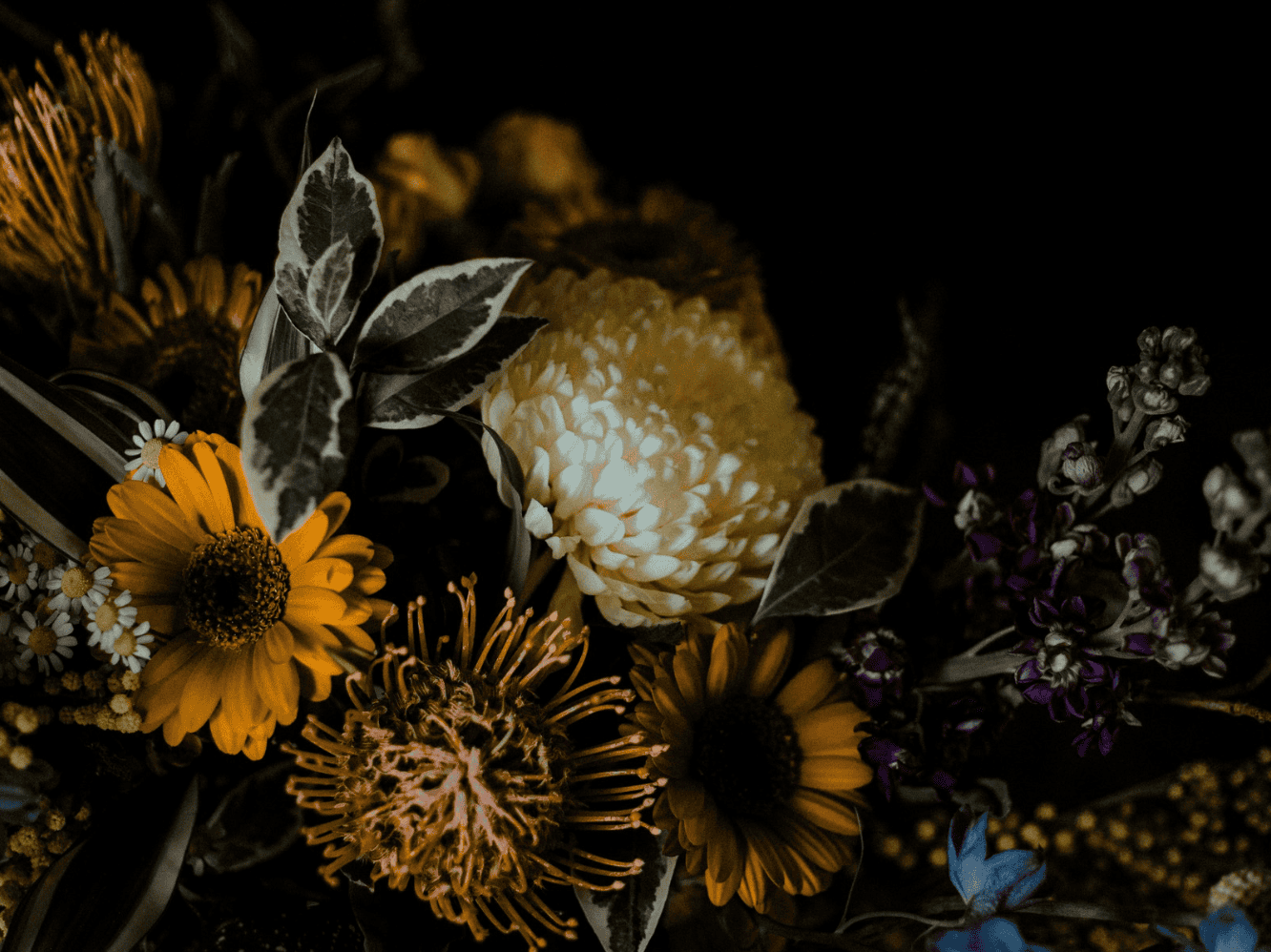 The Collective Roots Journey: A five stage framework for meaningful visibility