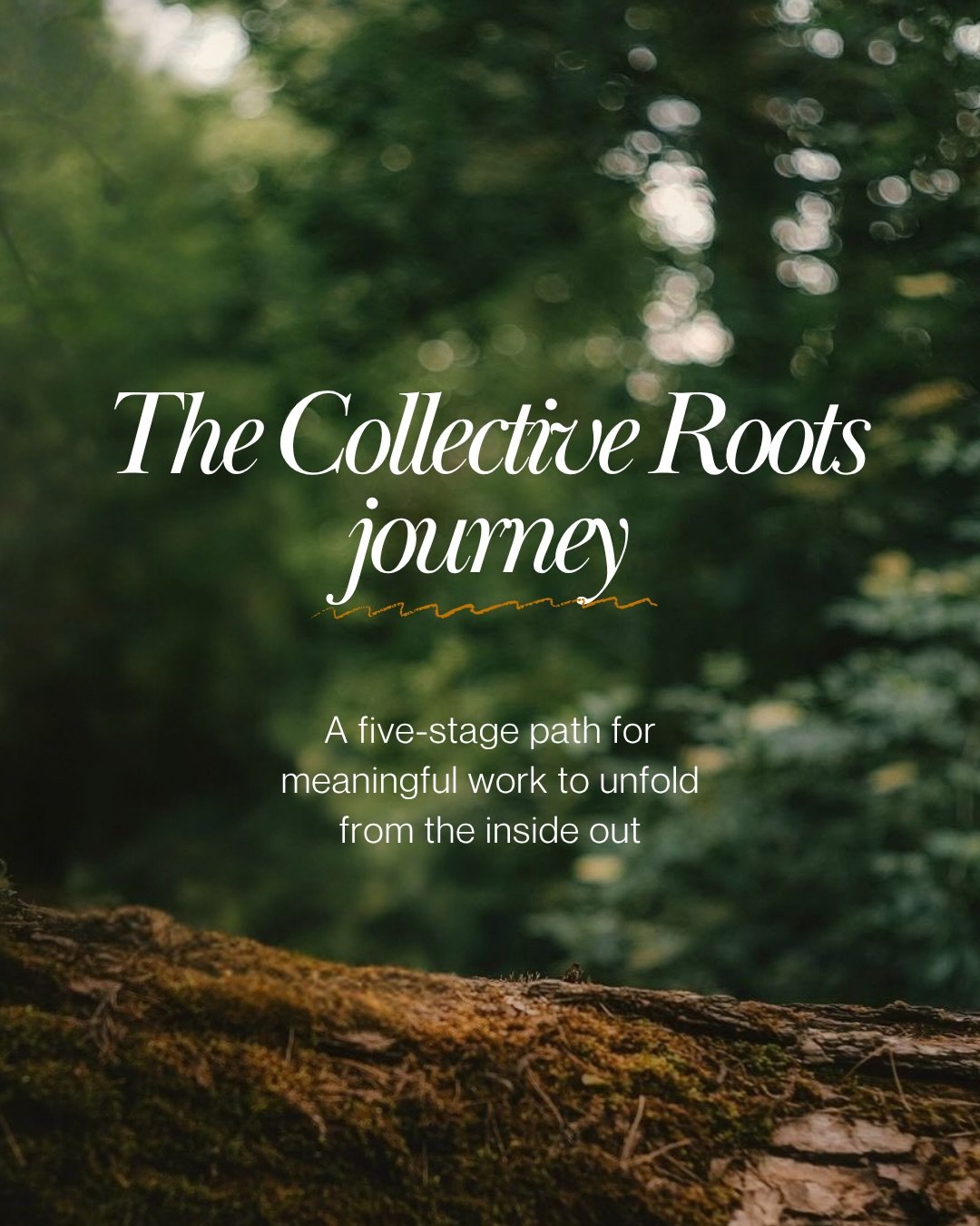Today I&rsquo;m excited to share a little more about the Collective Roots Journey, and the different ways we can work together. This journey didn&rsquo;t begin as a framework. It began as a pattern I kept witnessing, again and again, no matter who I 