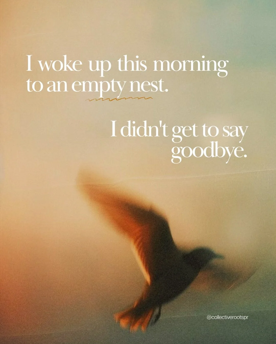 There was a nest of black redstart birds outside my window this spring. I watched the mother bird sitting still for weeks, and then the eggs hatched, and four tiny creatures were born. For days I watched her flying back and forth, feeding them. I kep