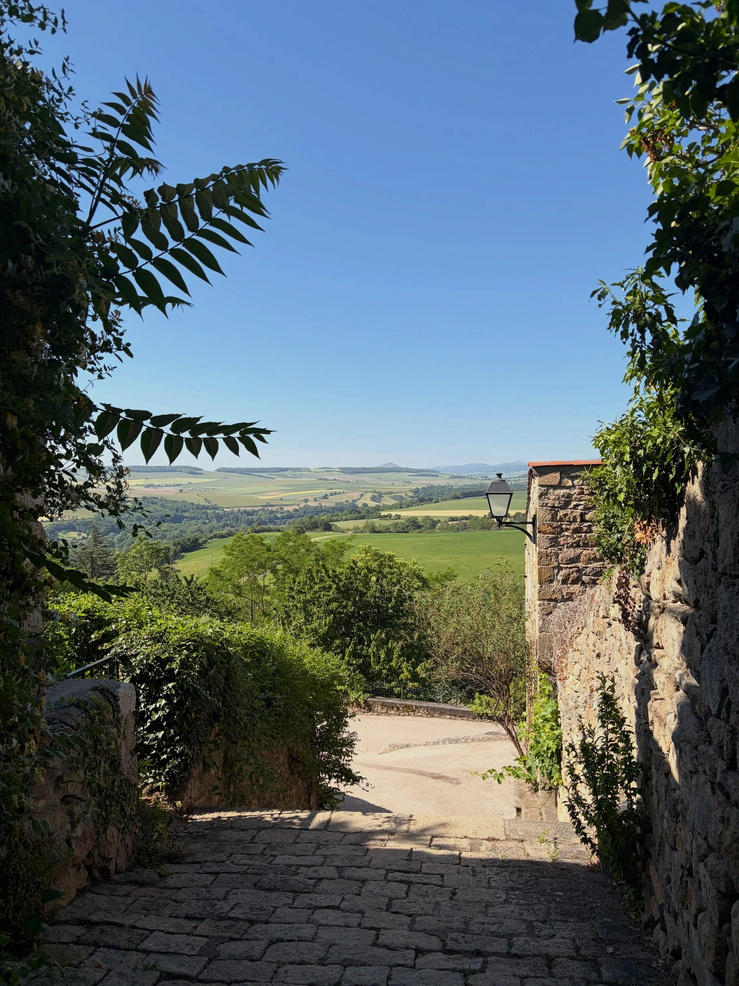 I just returned from a few days away in Auvergne, France, and what a beautiful region it is. 🌿

What stayed with me most was how held I felt in the energy of the volcanic valleys. There was something deeply grounding about being there, as if the lan