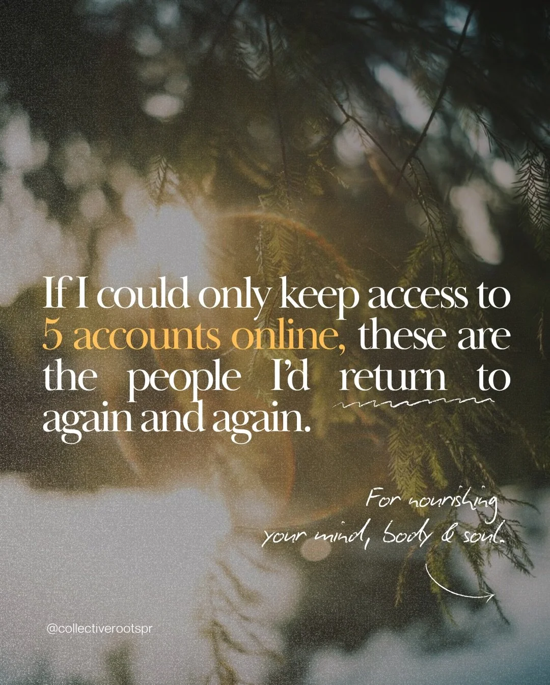 If I could only keep access to five accounts, these are among the first I would save. Each of them has shaped me in a different way. Some helped me understand my body and my nervous system more deeply, others changed the way I think about creativity,