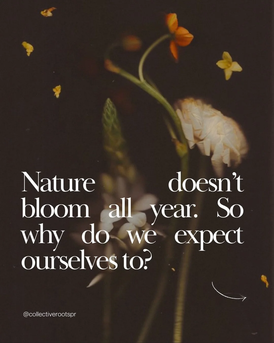 Most people talk about seasons in the context of inner work. Rarely in the context of marketing and communication.

And yet, the creative season you&rsquo;re in shapes everything: how you communicate, what you share, how much you have to give, and wh