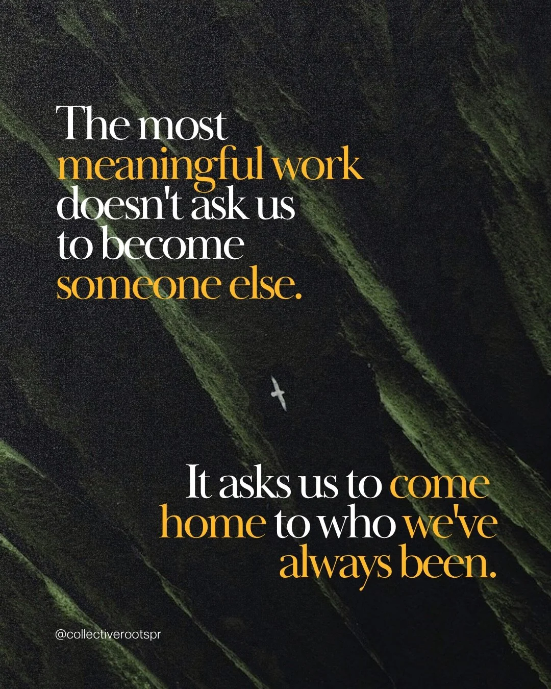For over a decade, I worked in the music industry, organising shows across Europe, moving fast and making things happen, until my body finally asked me to stop. With chronic symptoms nobody could quite explain, I turned inward, not really by choice a
