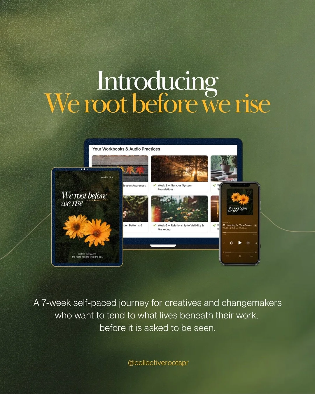 We Root Before We Rise is open. 

Seven weeks, entirely self-paced, moving through the layers beneath meaningful work, so that sharing what you make stops costing you so much.

Early-bird until 10 August. 
Comment ROOT for the link 🌿
