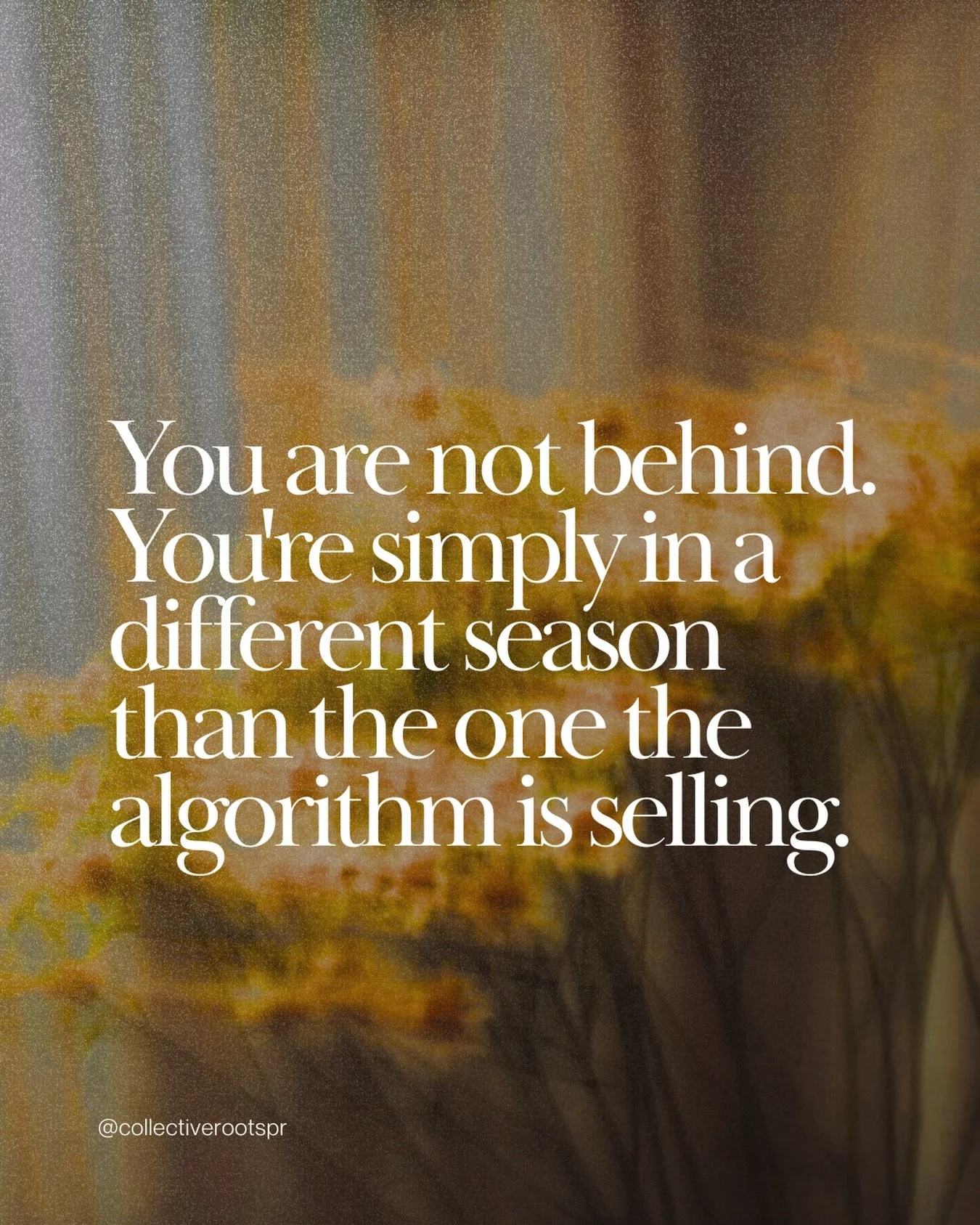 I have spent whole seasons convinced I was falling behind, only to realise later that I was somewhere the feed simply had no language for. The algorithm only ever sells one season, a perpetual summer of growth and output, so when your own rhythm asks