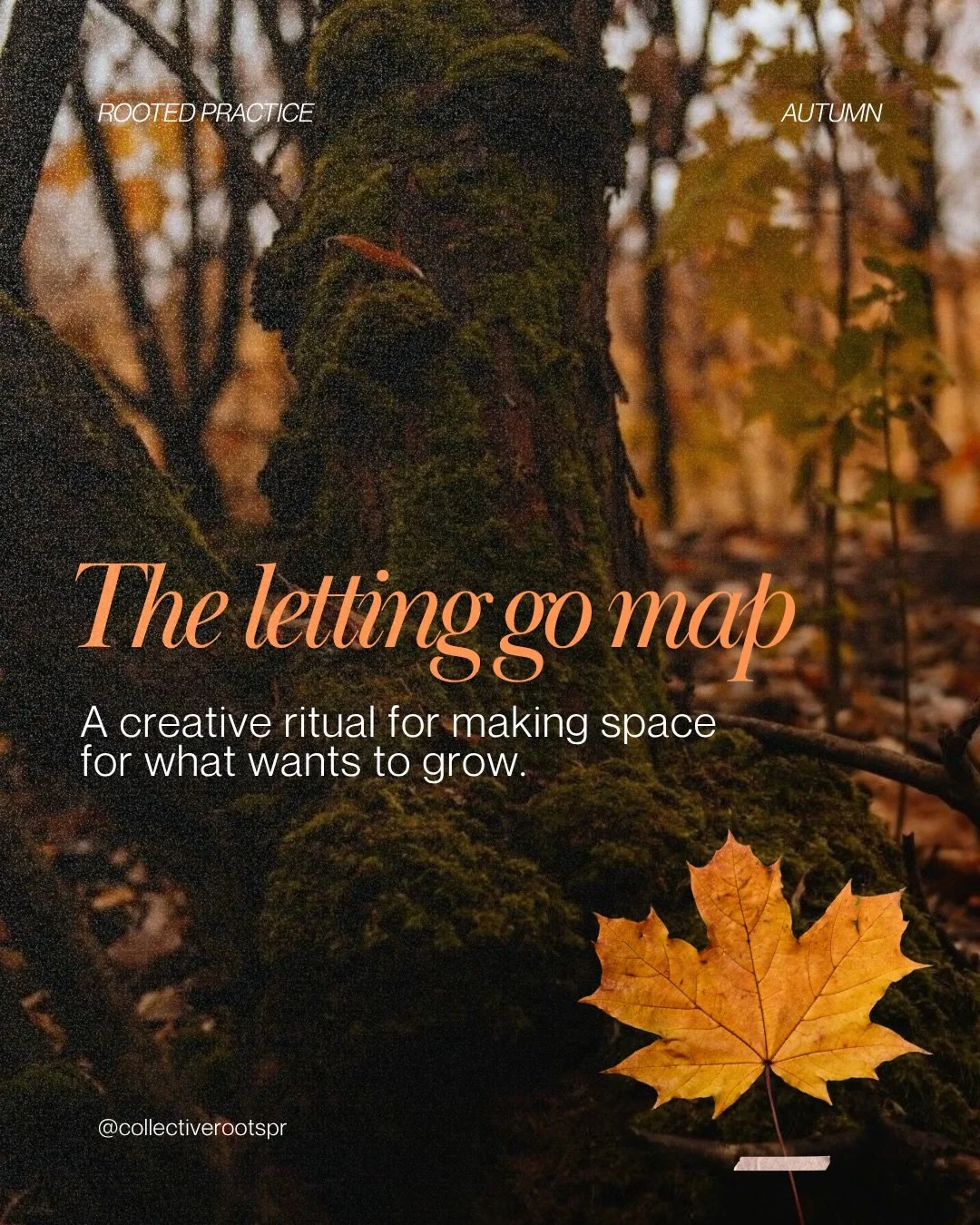 The next chapter often begins with letting something go. The Letting Go Map is one of my creative rituals inside We Root Before We Rise: my self-guided journey for slowing down, reconnecting with yourself, and creating from a more rooted place. Let m