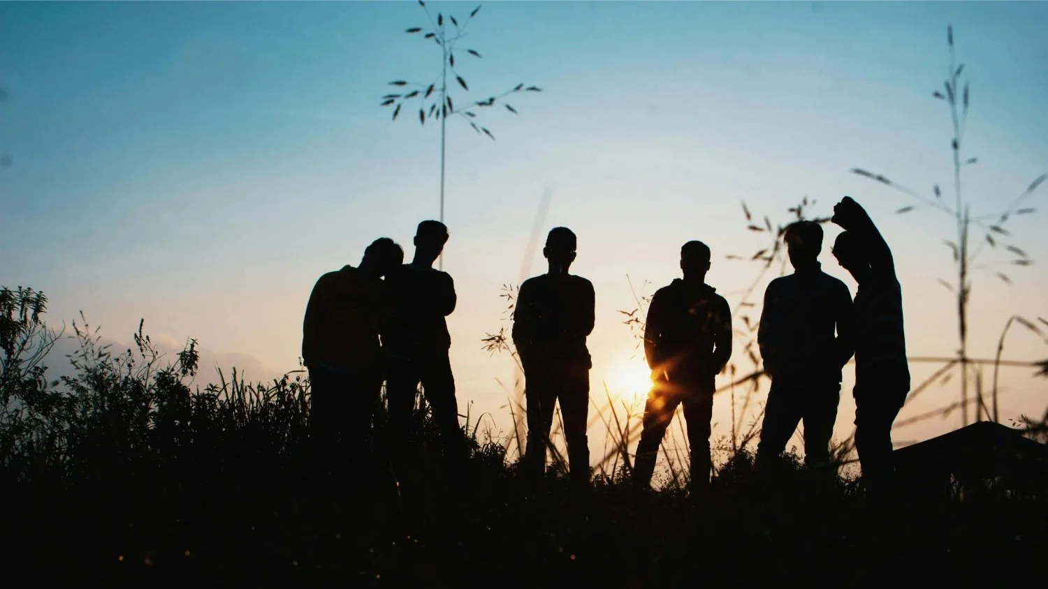 Silhouettes of six people standing on grass during sunset, with the sun low on the horizon and tall grass and plants in the foreground.