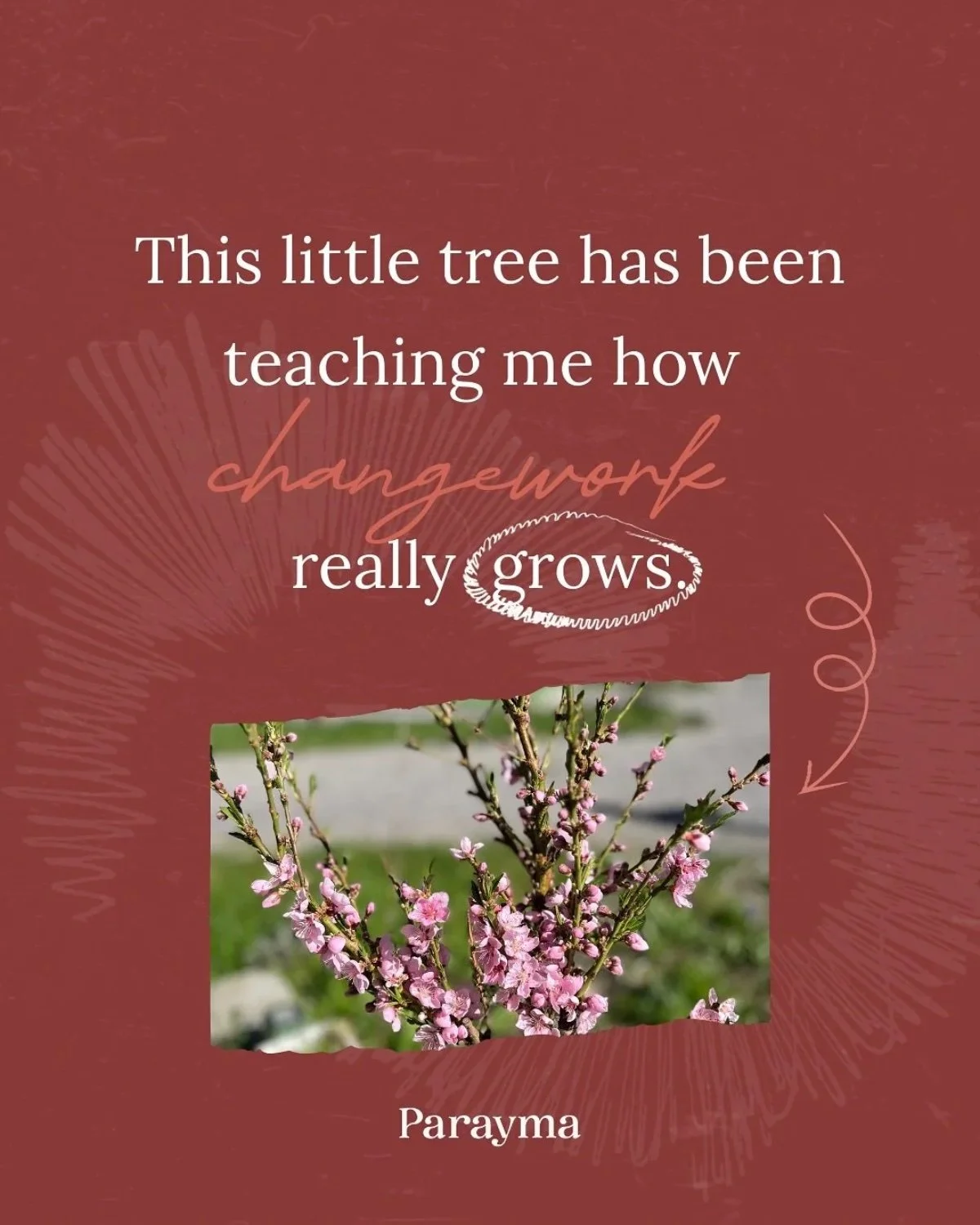 A quote on a textured pinkish-brown background varies in font style and size. The quote reads: 'This little tree has been teaching me how changework really grows.' There is an image of pink flowering tree branches at the bottom, and a signature or name 'Parayma' at the bottom.
