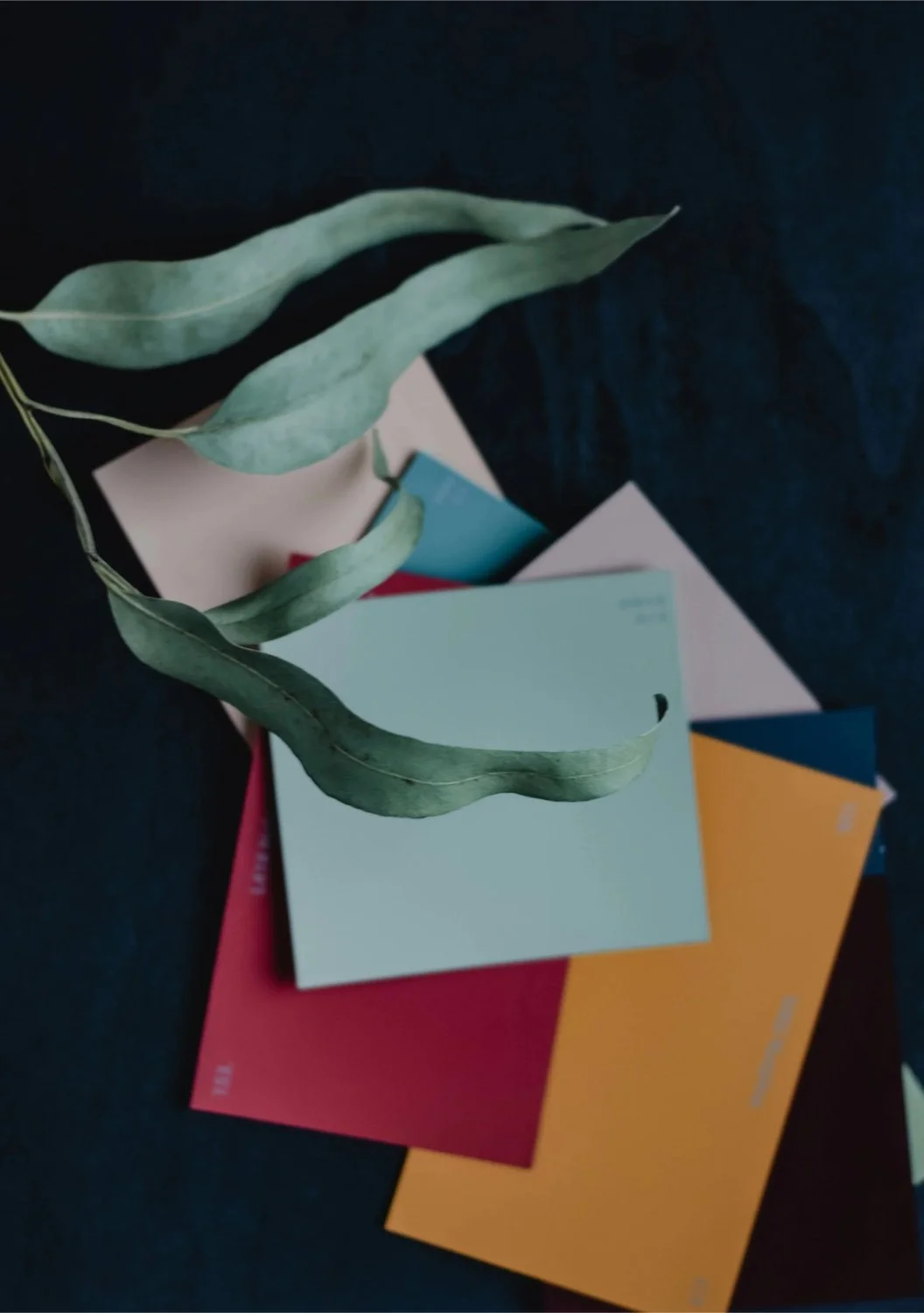 Colorful notebooks and a green leaf on a dark background.