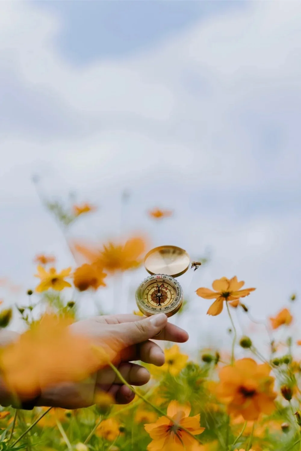 A hand holding a compass with a glass cover in a field of yellow flowers against a cloudy sky.