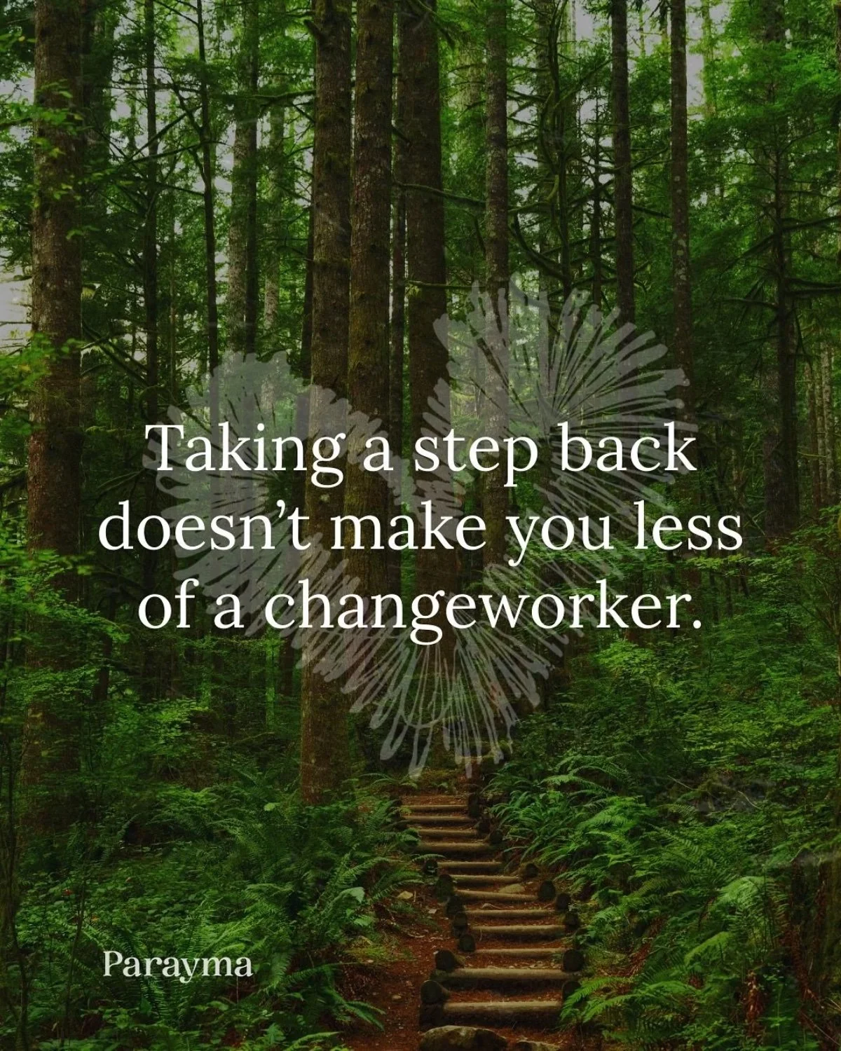 A forest with tall trees and lush greenery. A wooden staircase leads into the forest. Overlaid text reads: 'Taking a step back doesn’t make you less of a changeworker.'