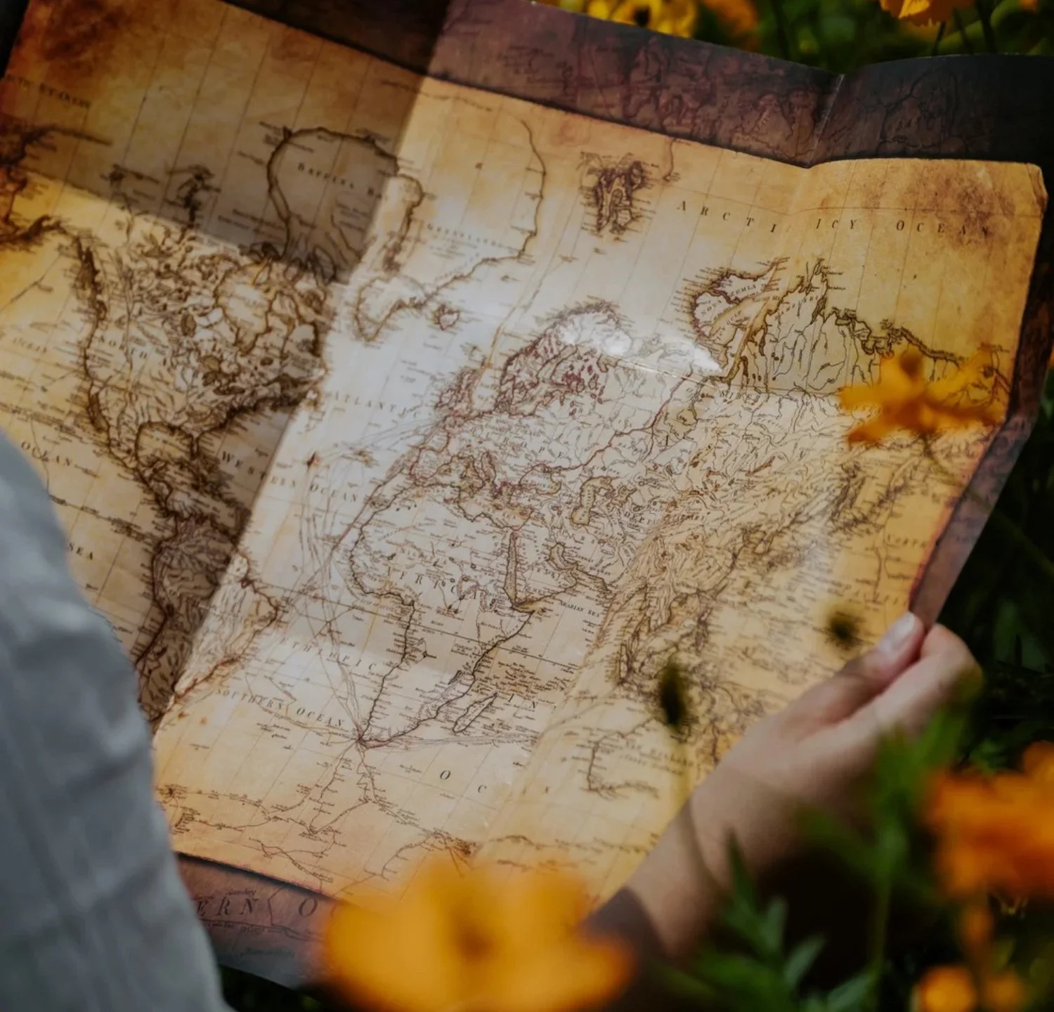 Person holding an old, weathered map of the world, surrounded by orange flowers.