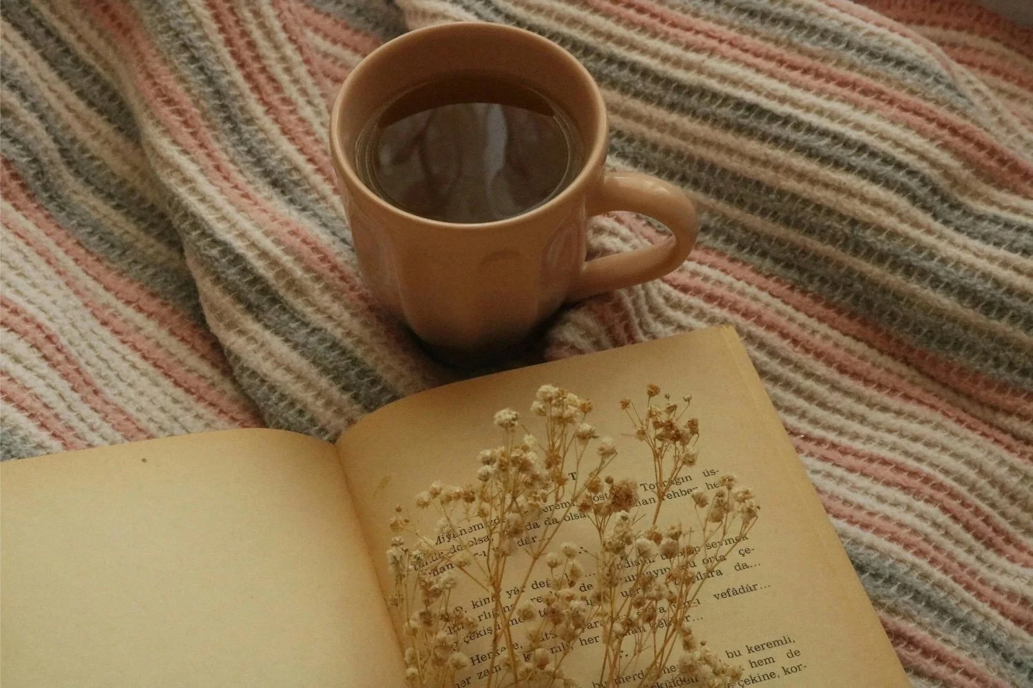A cup of coffee, an open book with dried white flowers on the page, all resting on a cozy, striped, multicolored blanket.