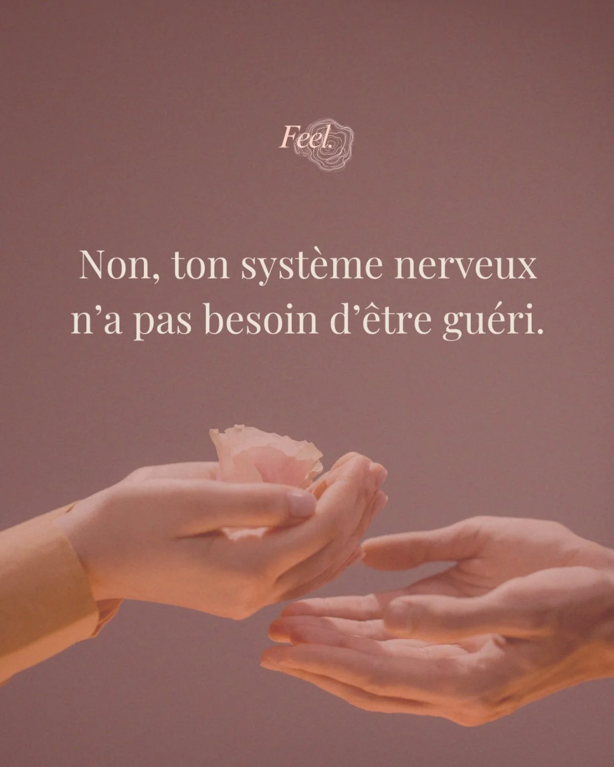 Two hands, one holding a pink flower, the other reaching out to receive it, with a pink and brown gradient background and French quote about the nervous system.