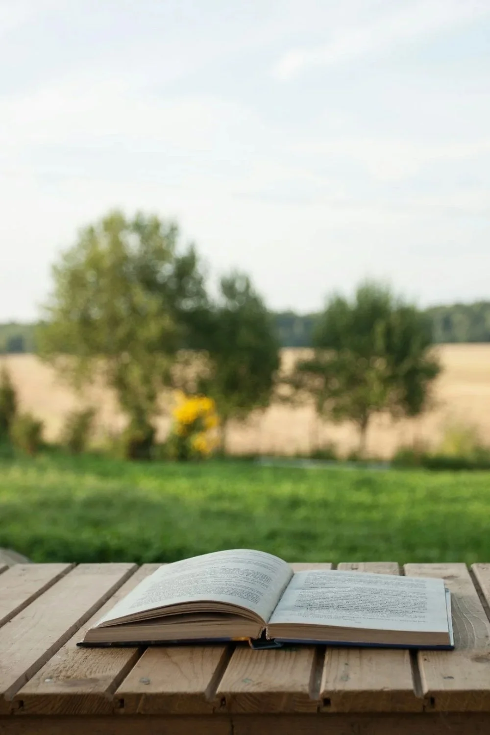 Open book resting on a wooden table outdoors, with blurred trees and sky in the background.