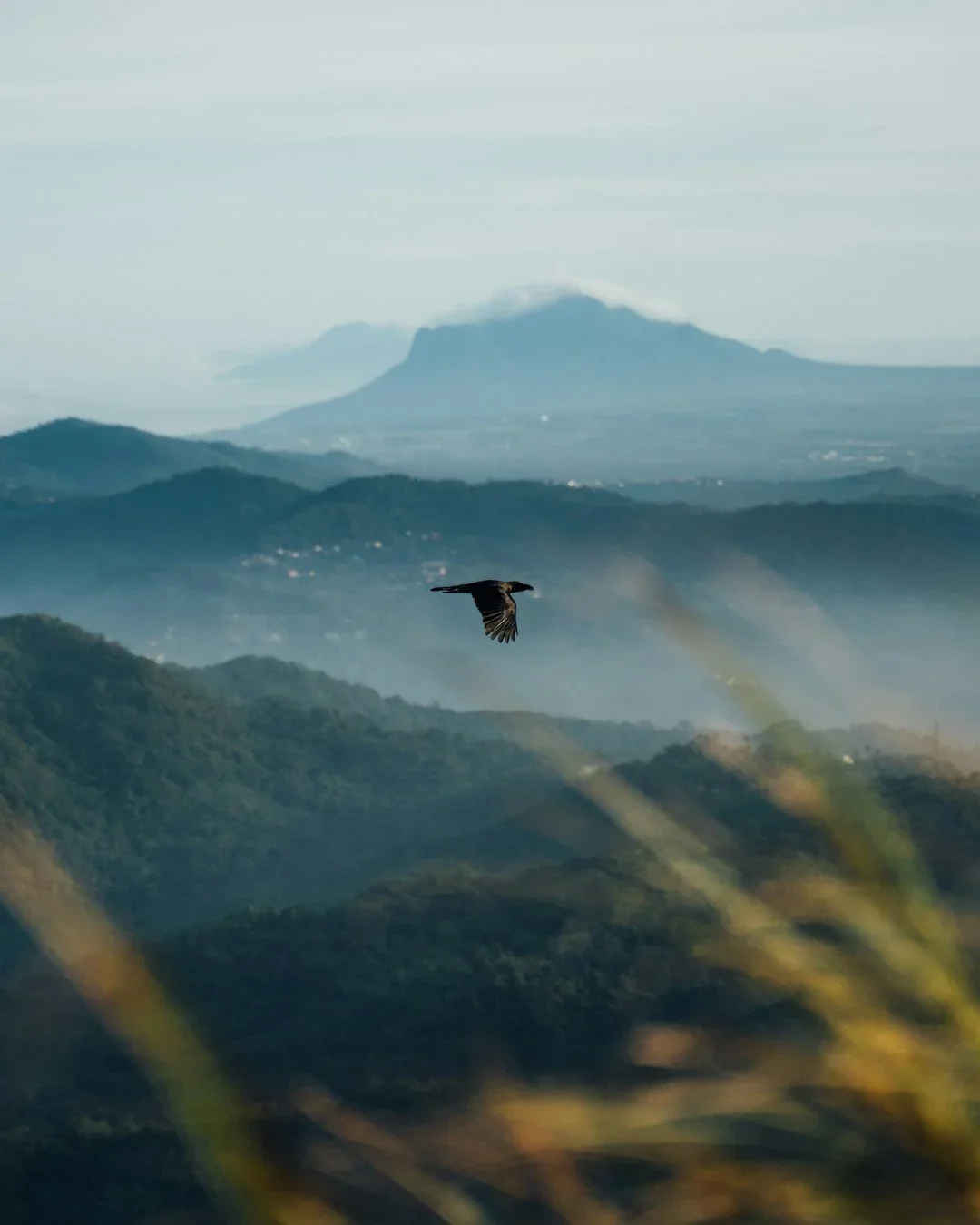 A solitary black bird flying over a landscape of layered green mountains with a mountain in the background on a cloudy day.