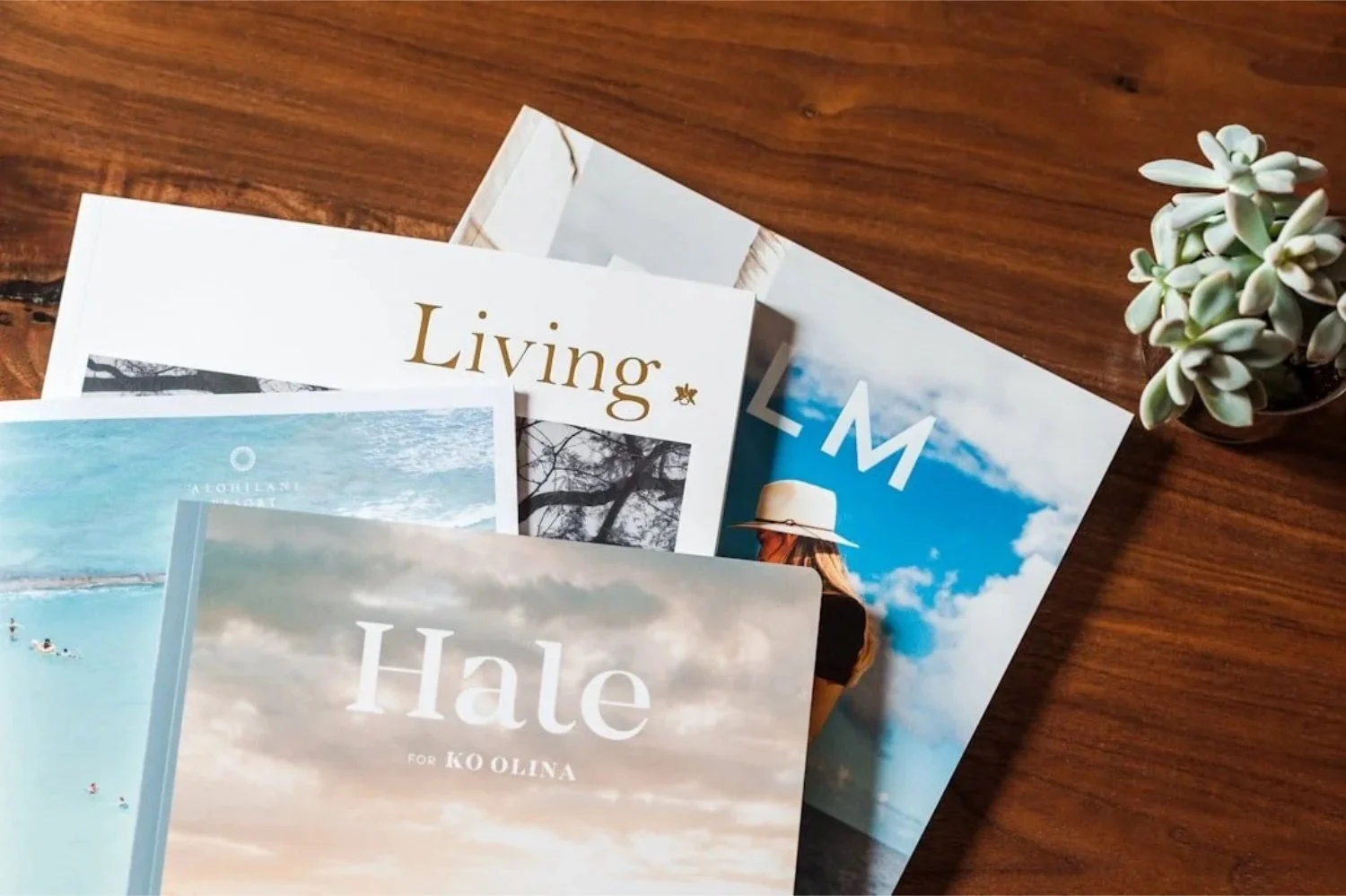 Collection of magazines and brochures on a wooden table, with a small potted succulent plant nearby.