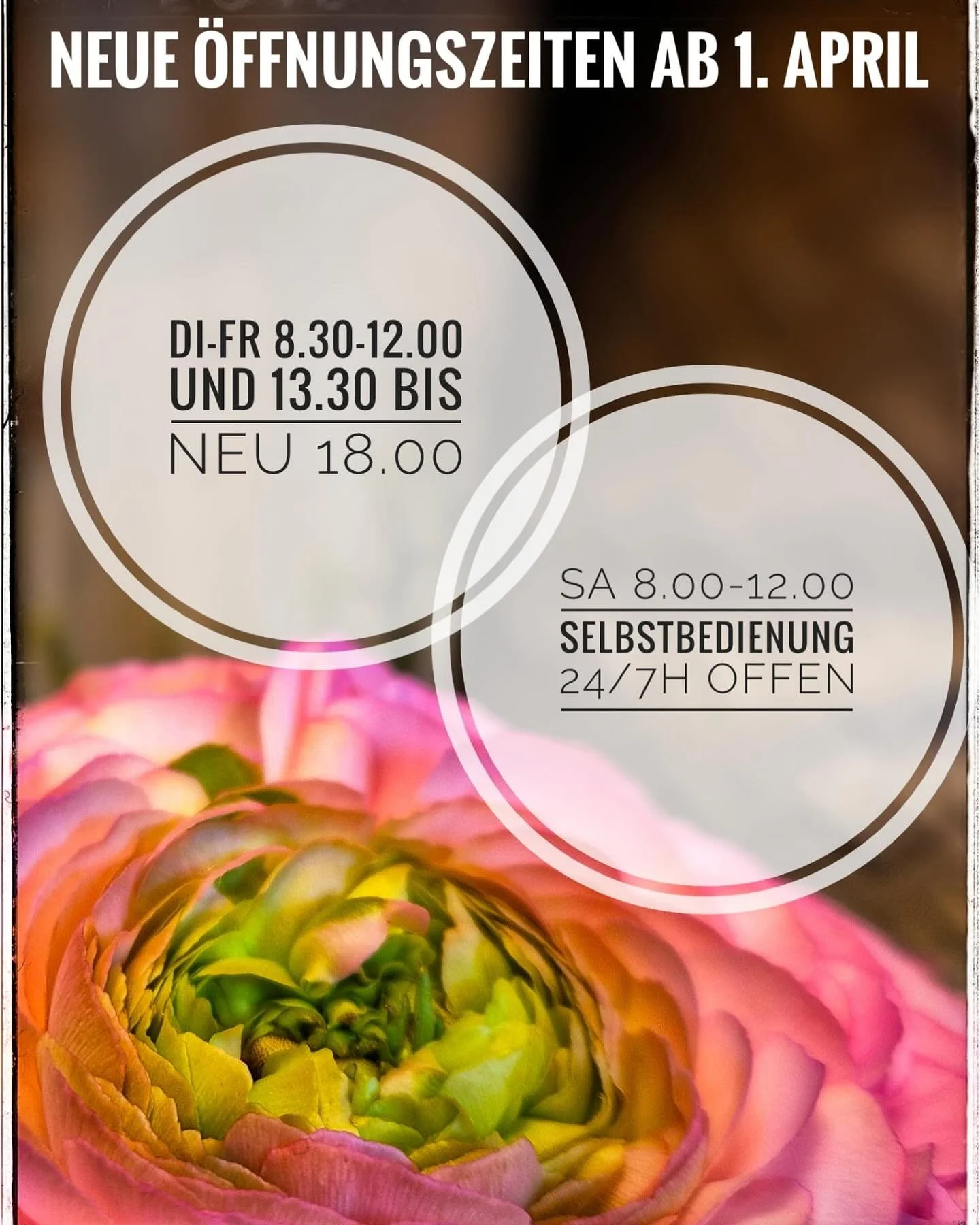 Ab H&uuml;t n&uuml;i &Ouml;ffnigsziit&auml;🌸🌺
Isch kein 1.April sch&auml;rz😊