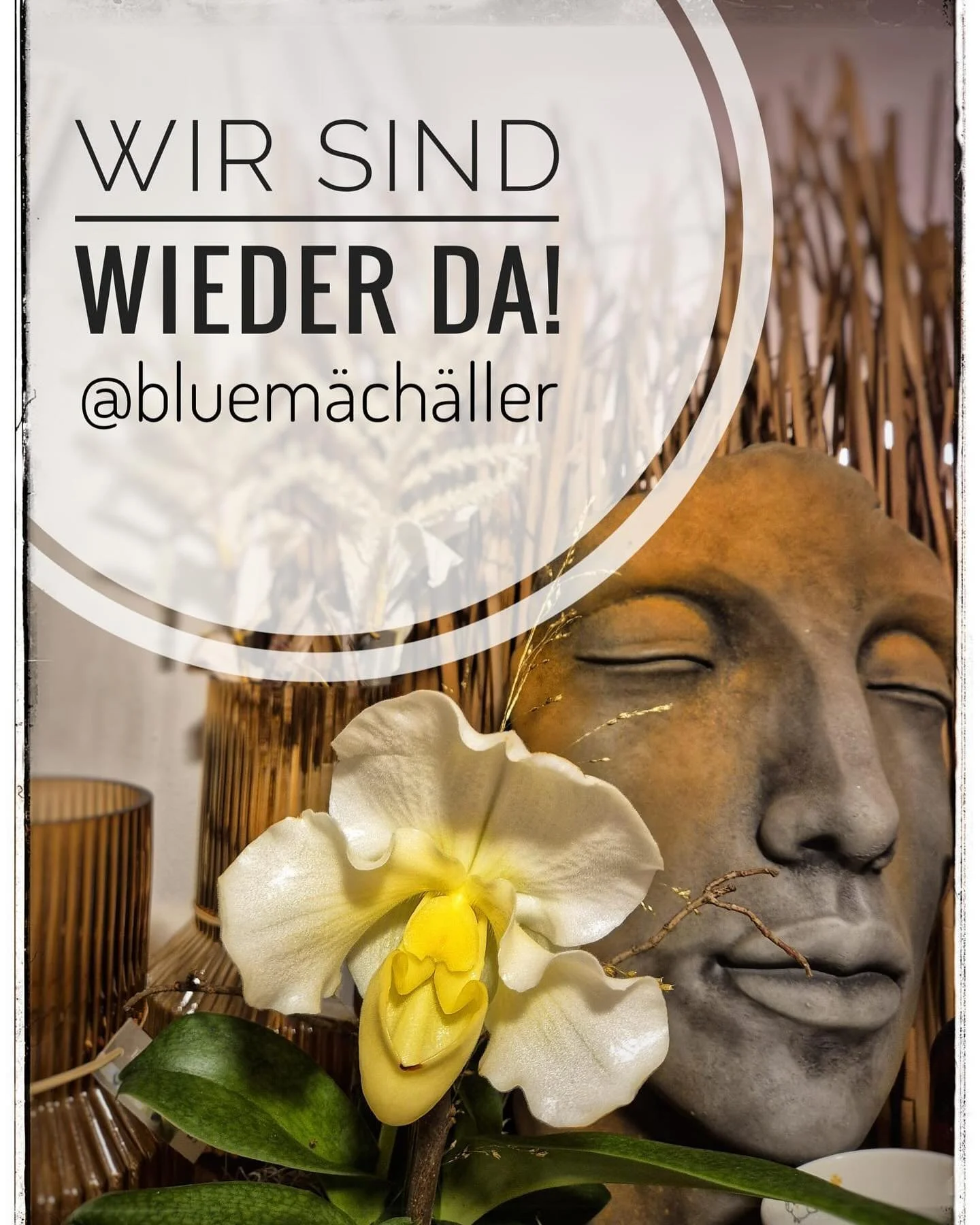 Mir sind wieder da🌺🌸