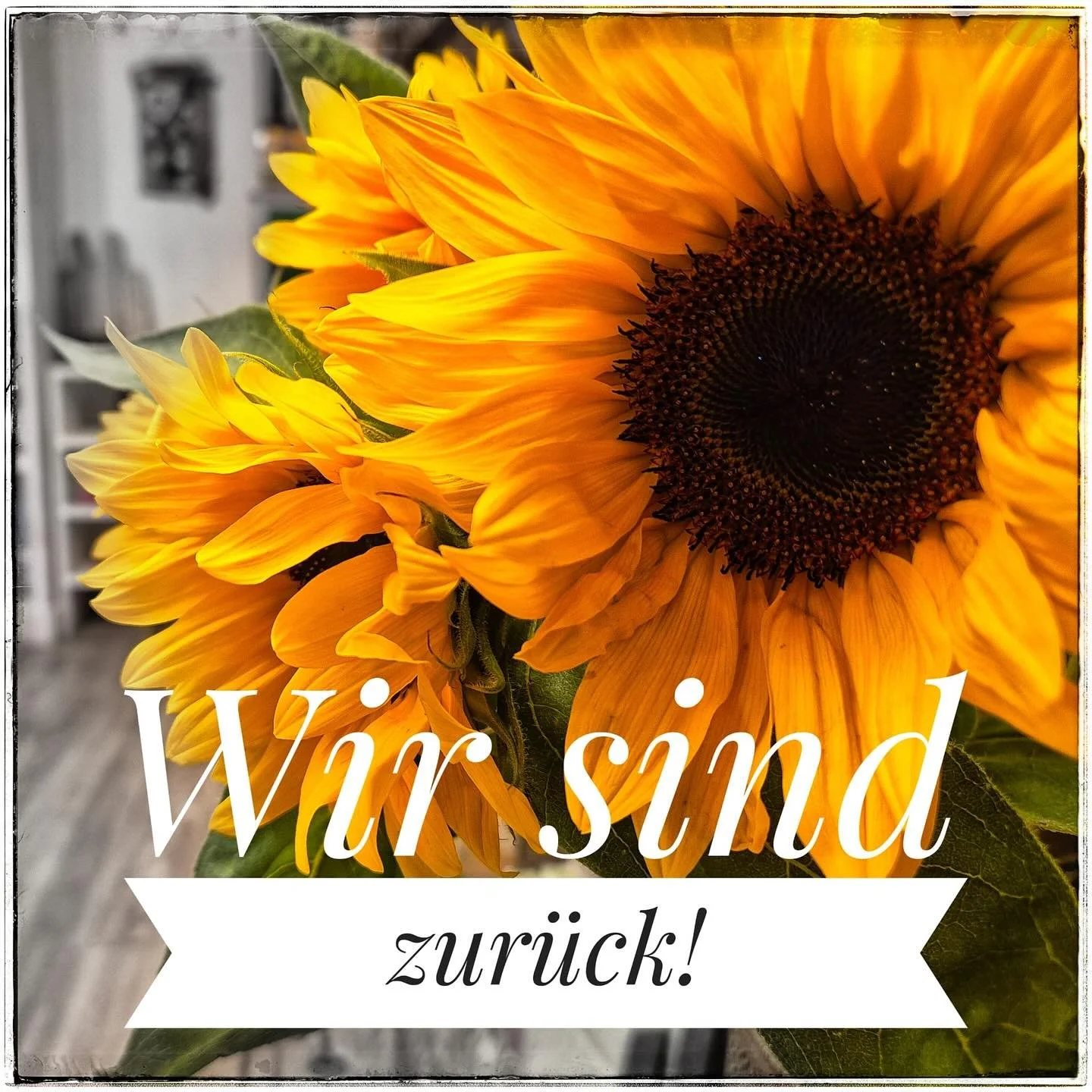 Mir sind wieder zrugg us &uuml;sne Feri&auml;☀️☀️☀️ Und freued &uuml;s uf &uuml;che Bsuech🌻☀️🌸🌺