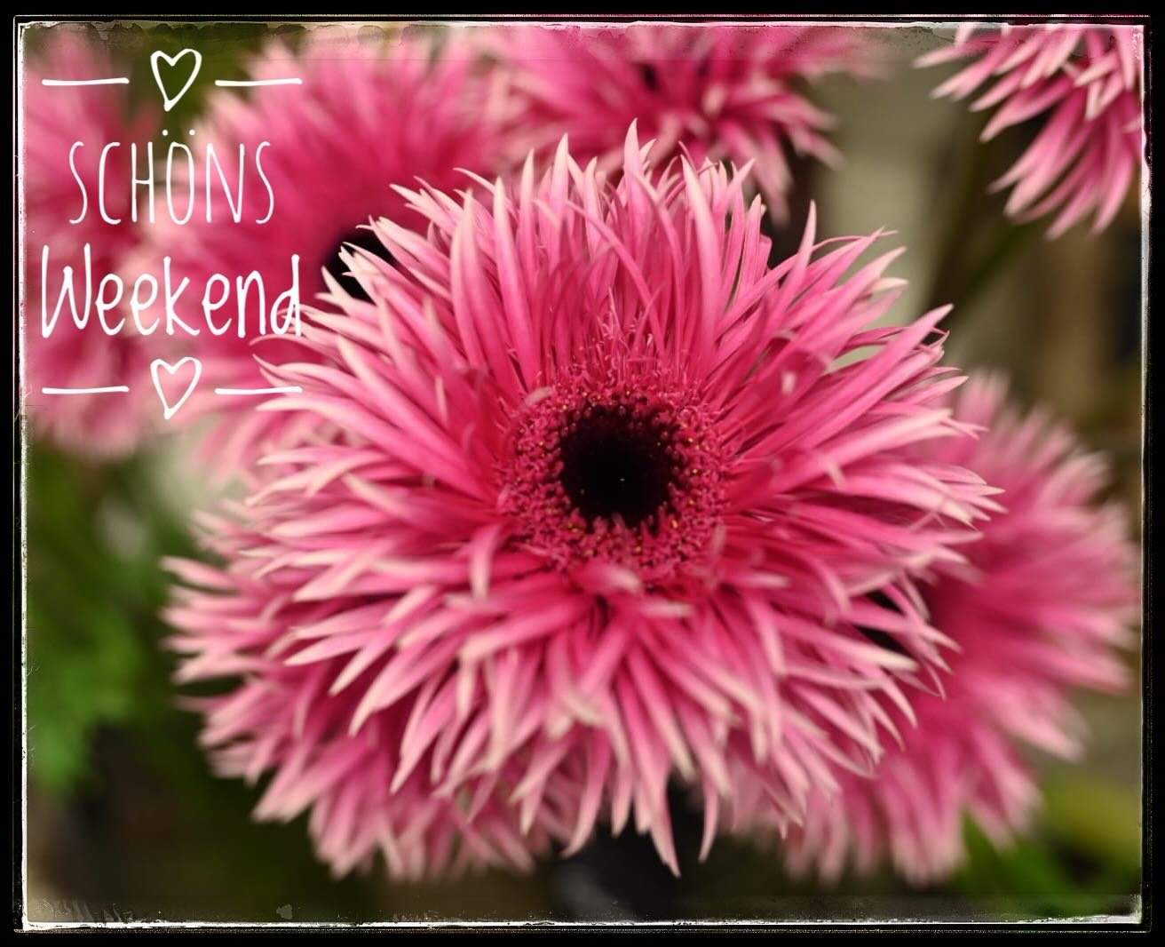 Allne es sch&ouml;ns Weekend💗