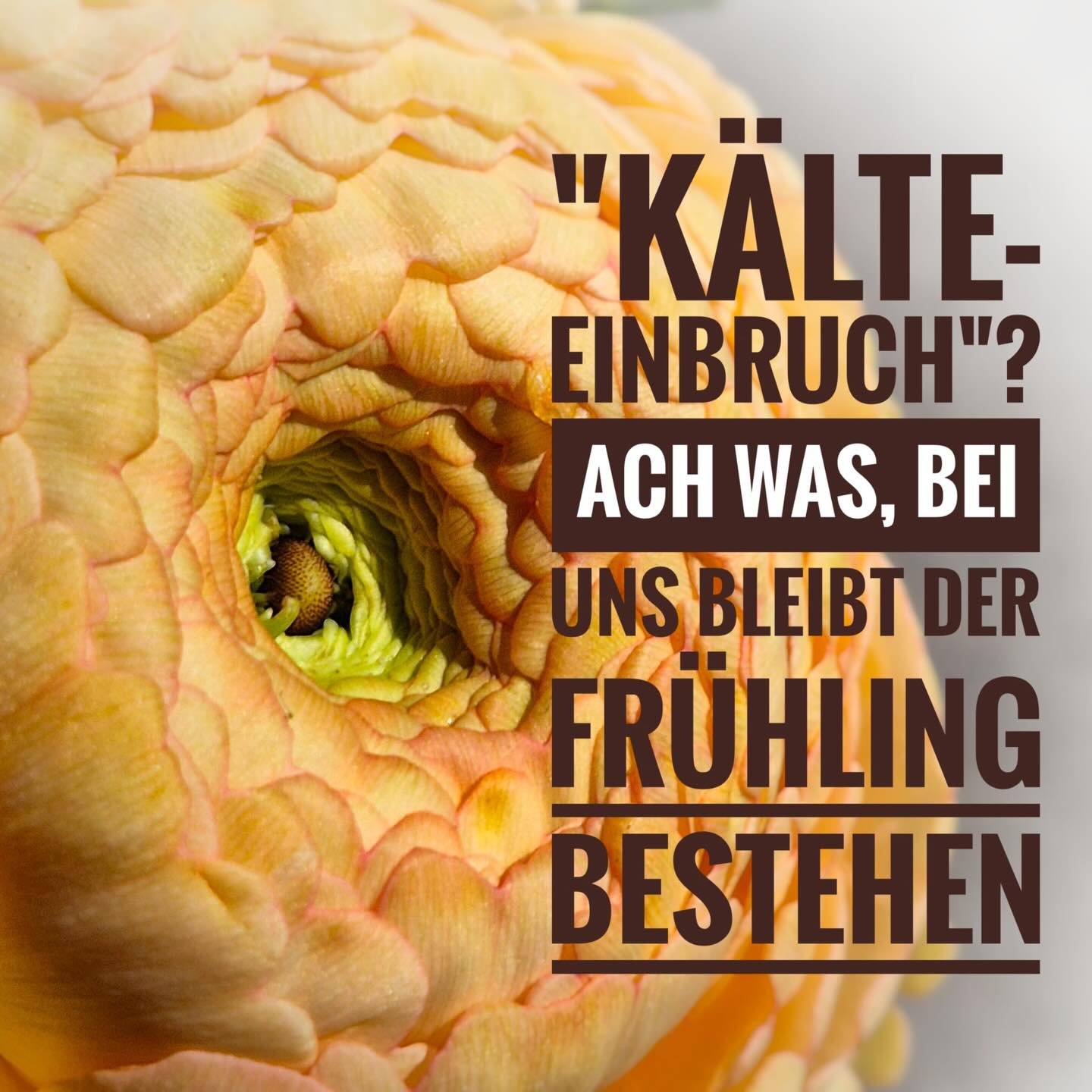 Draussen kalt und Winter drinnen Warm und Fr&uuml;hling🌸🌺🌷☺️